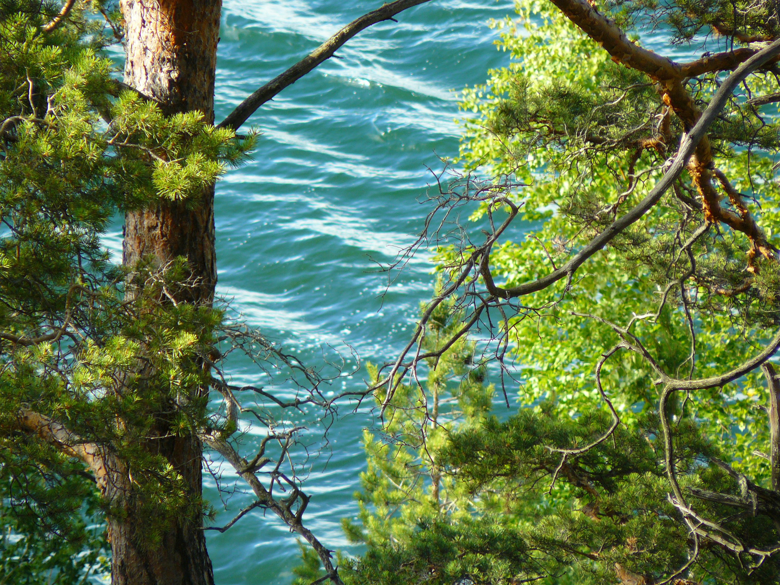 Боровое 2019 (из архива). Избранные фотографии