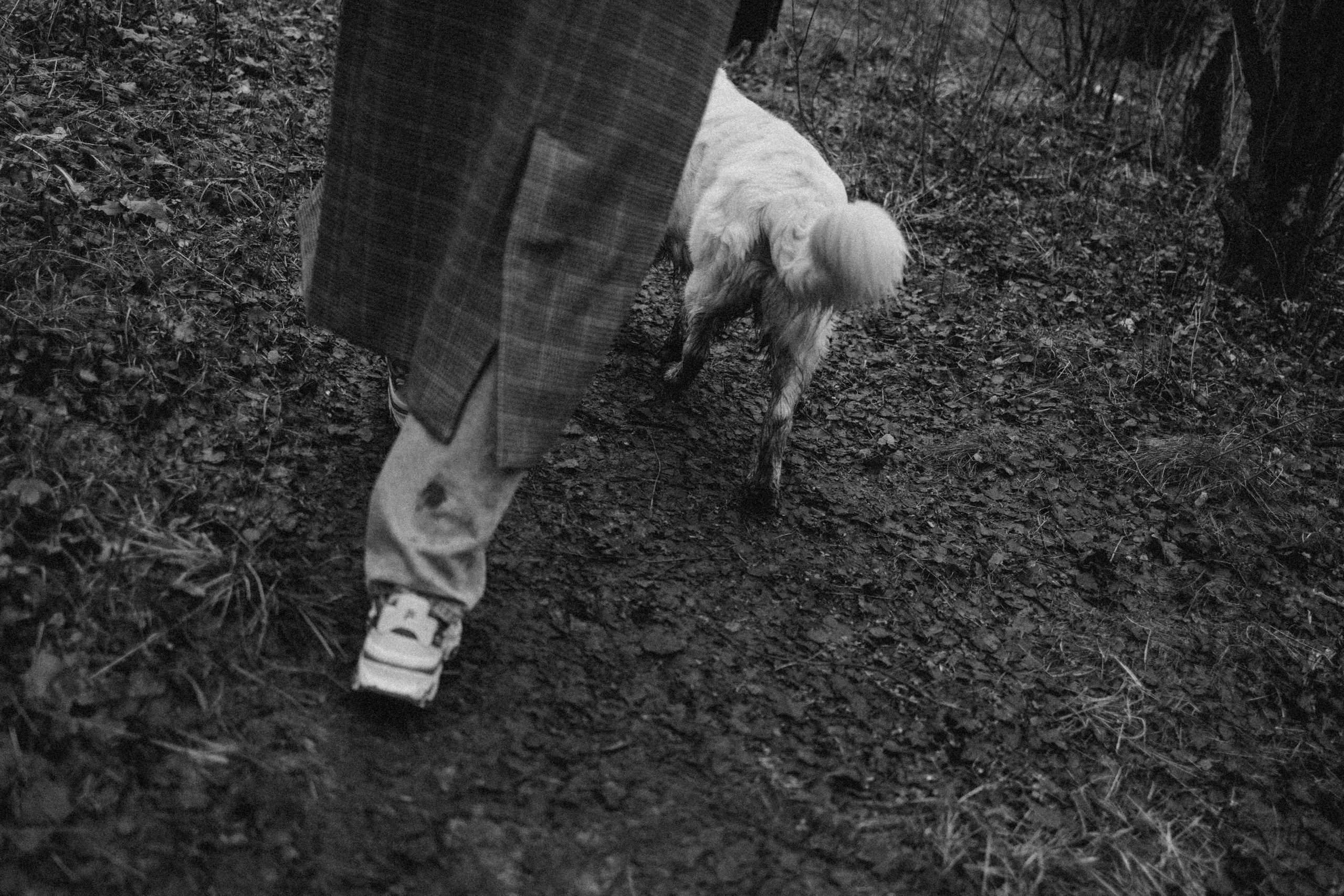 Лаки и его семья. Фотограф — Анималист | Санкт-Петербург