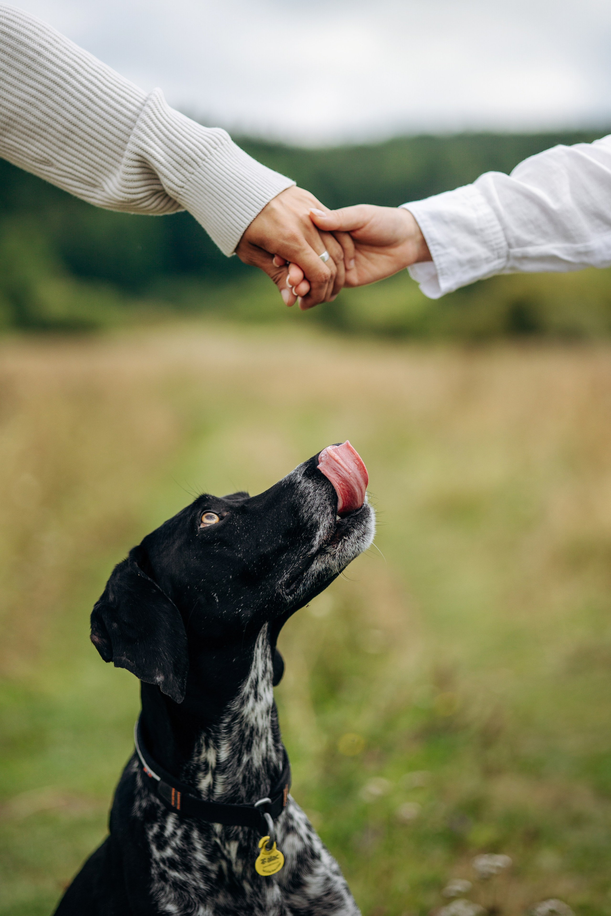 Хеликс и его семья. Фотограф — Анималист | Санкт-Петербург