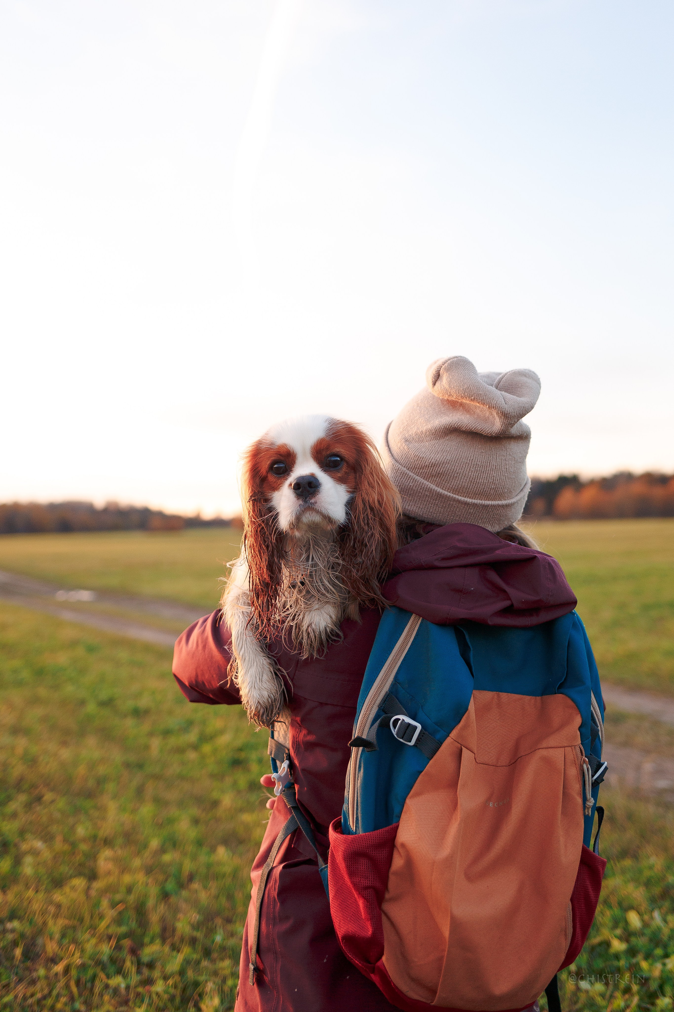 Октябрьский закат в полях. Алина и Лео. Фотограф-анималист Наталия Чистюхина в г. Сосновый Бор и ЛО