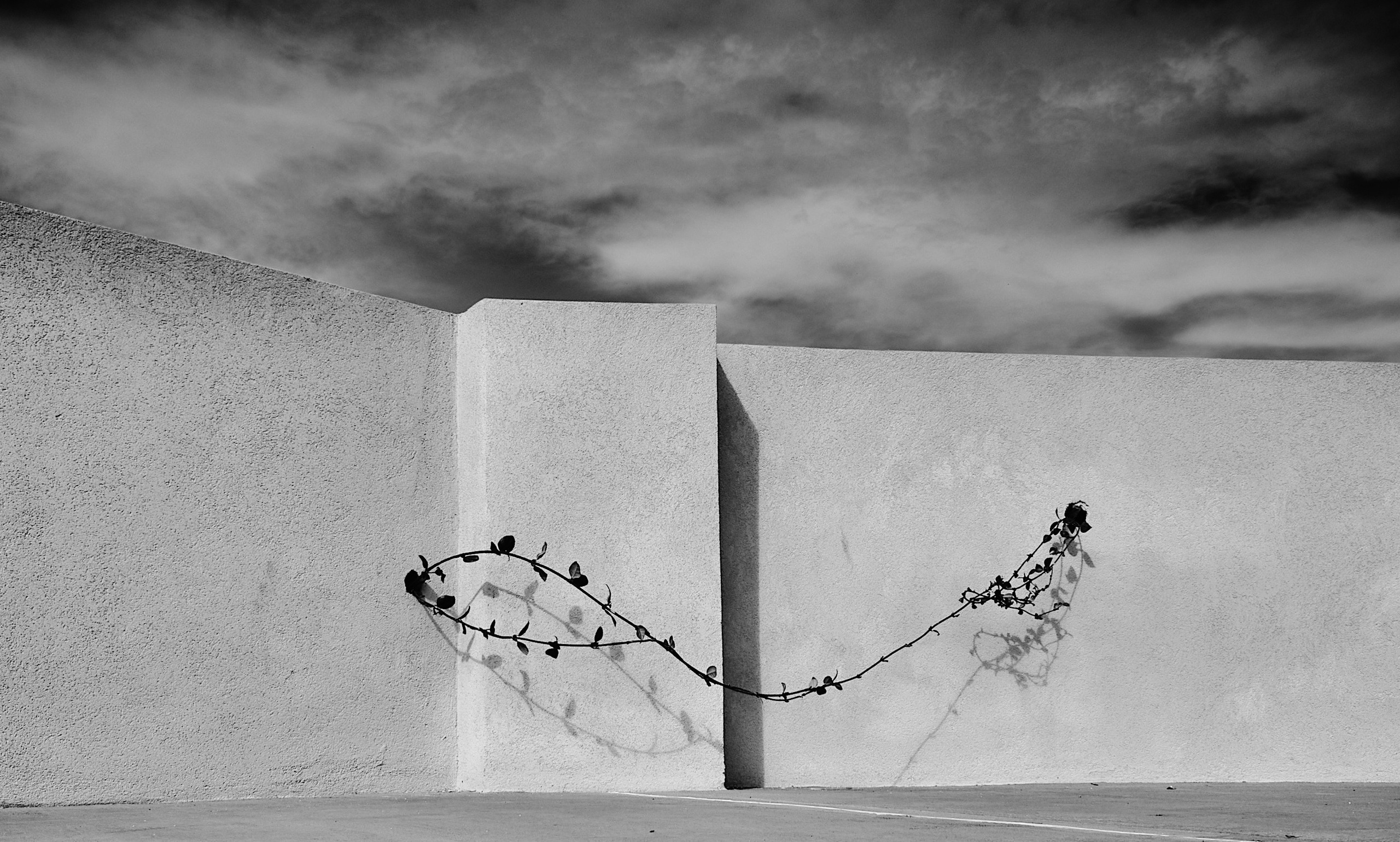 Странные виды средиземного моря. Shaltay Gallery