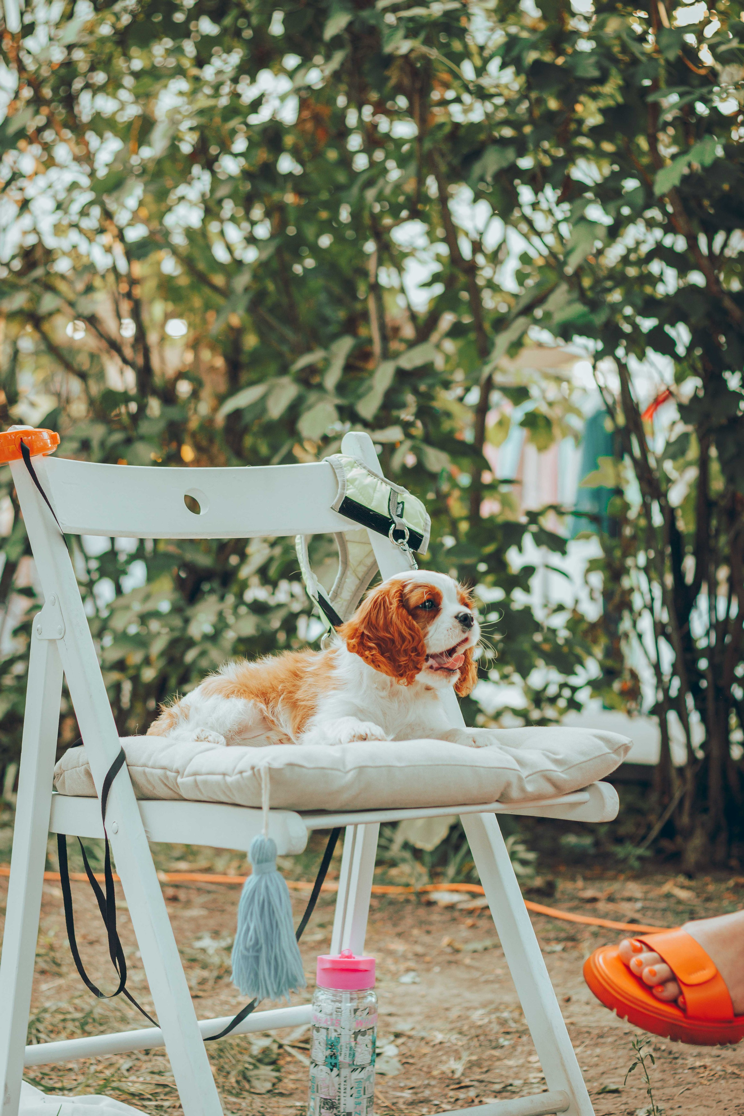 ECSTATIC WHITE |2024. Фотограф Аннё| Москва