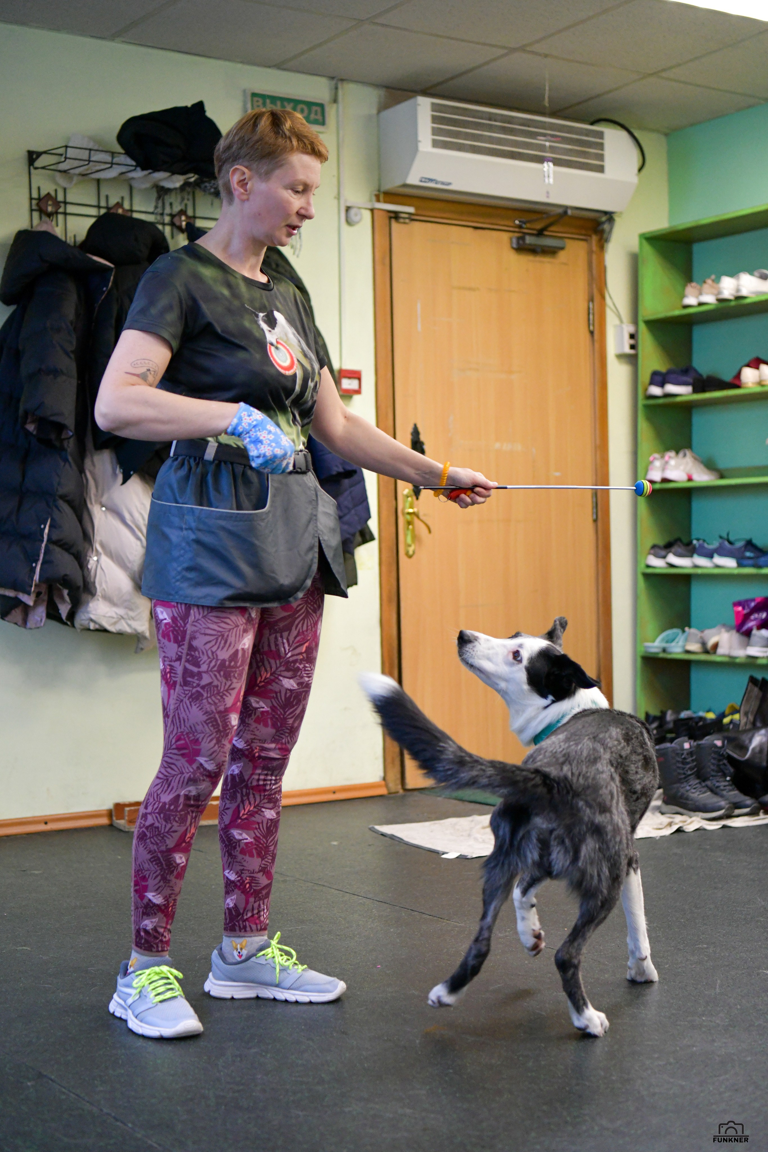 Кинологический клуб «Бодрый хвост». Свой взгляд через объектив