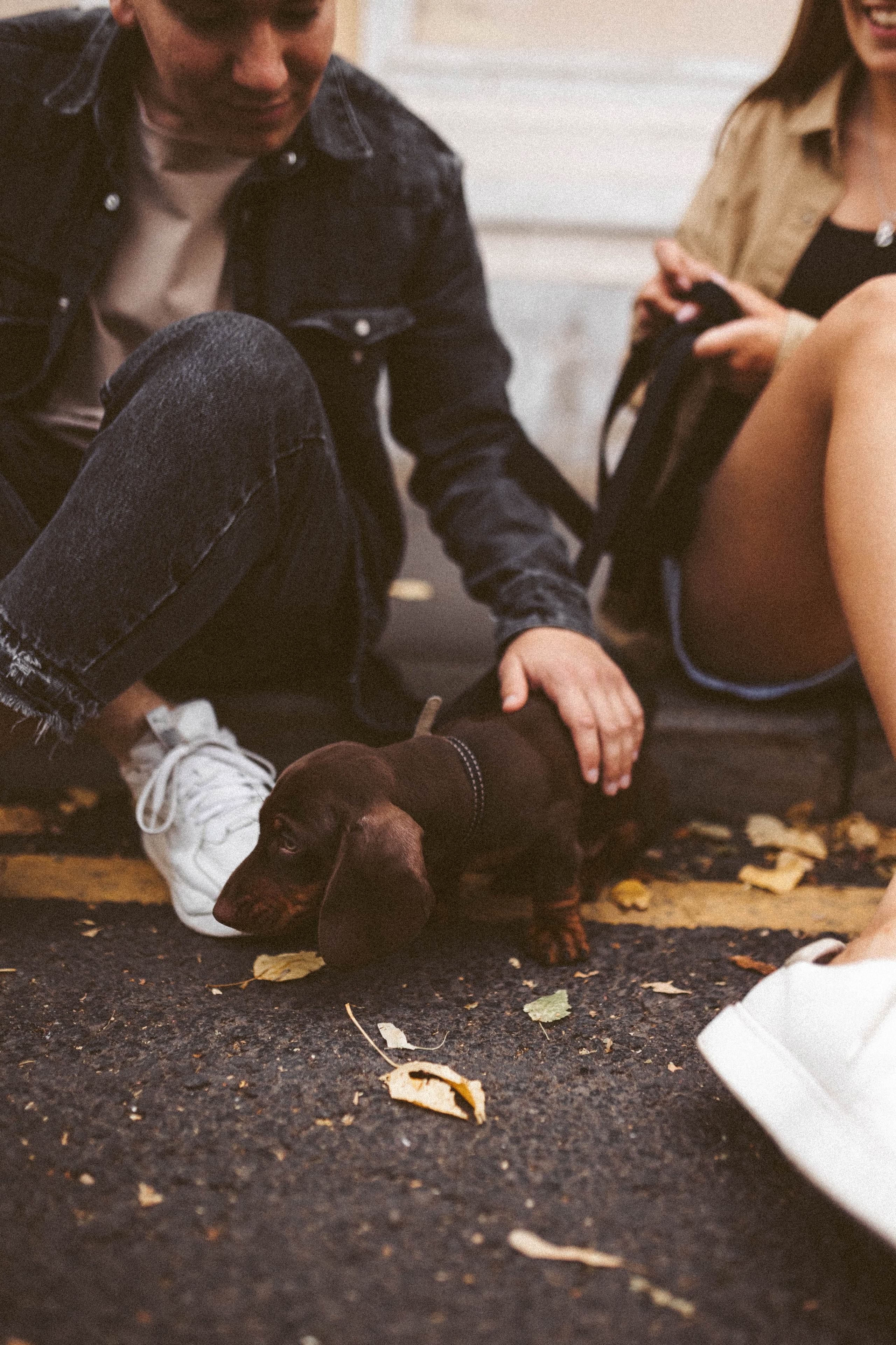 Руслан/Вика/Велес. Фотограф в Москве Татьяна Сергеева