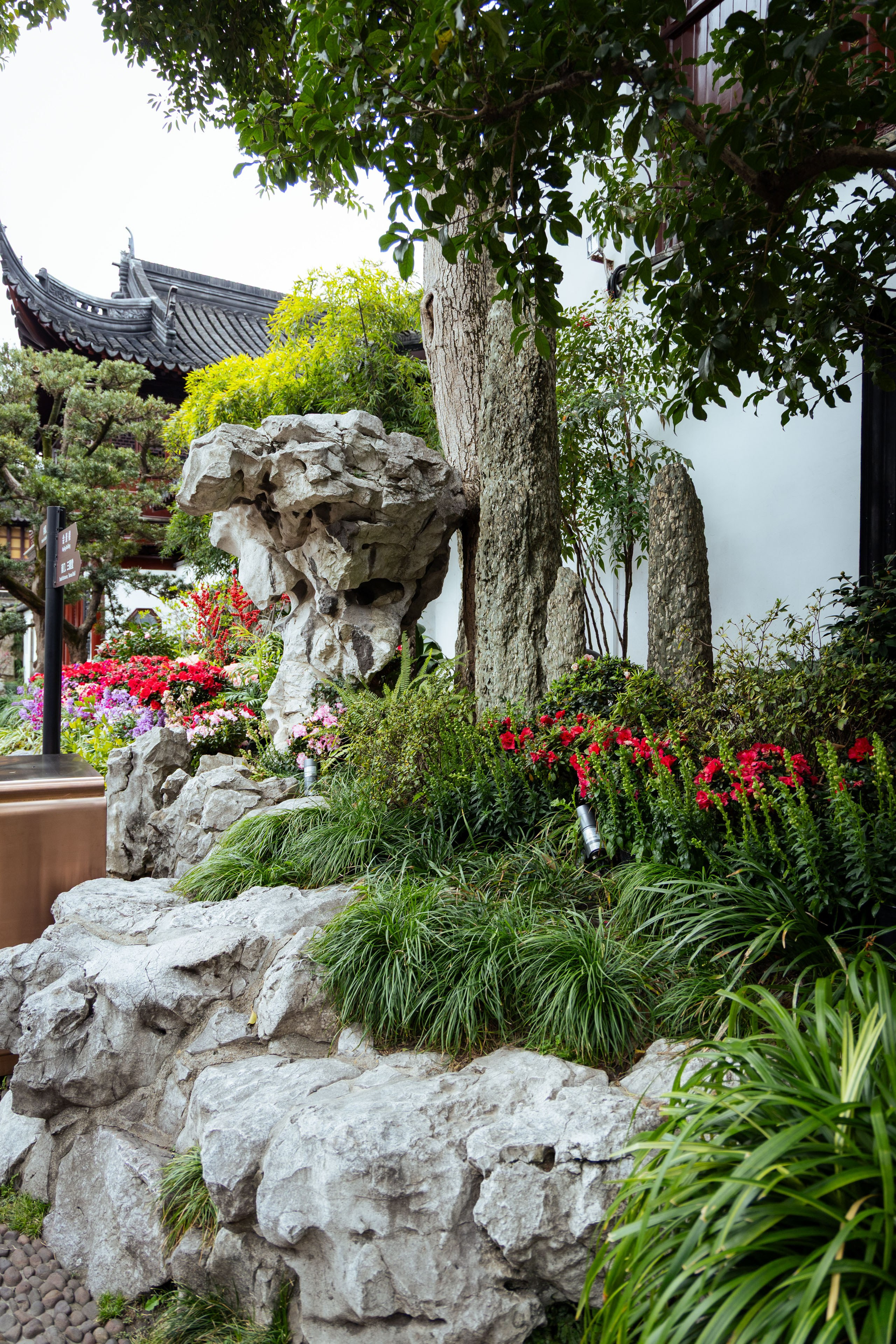 Шанхай (март 2026). Фотограф Виноградов Константин