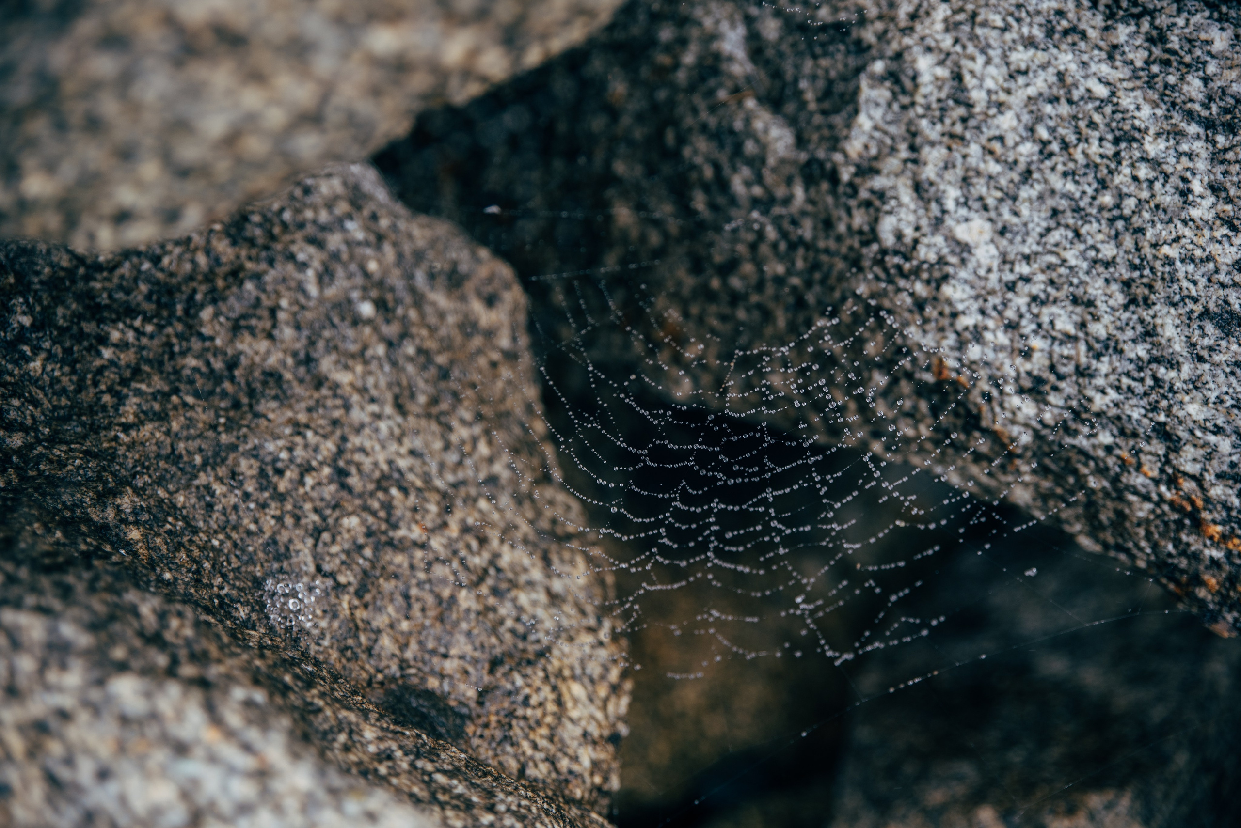 Индивидуальная фотосессия на озере в воде. Семейный фотограф в Миассе Ольга Широковская