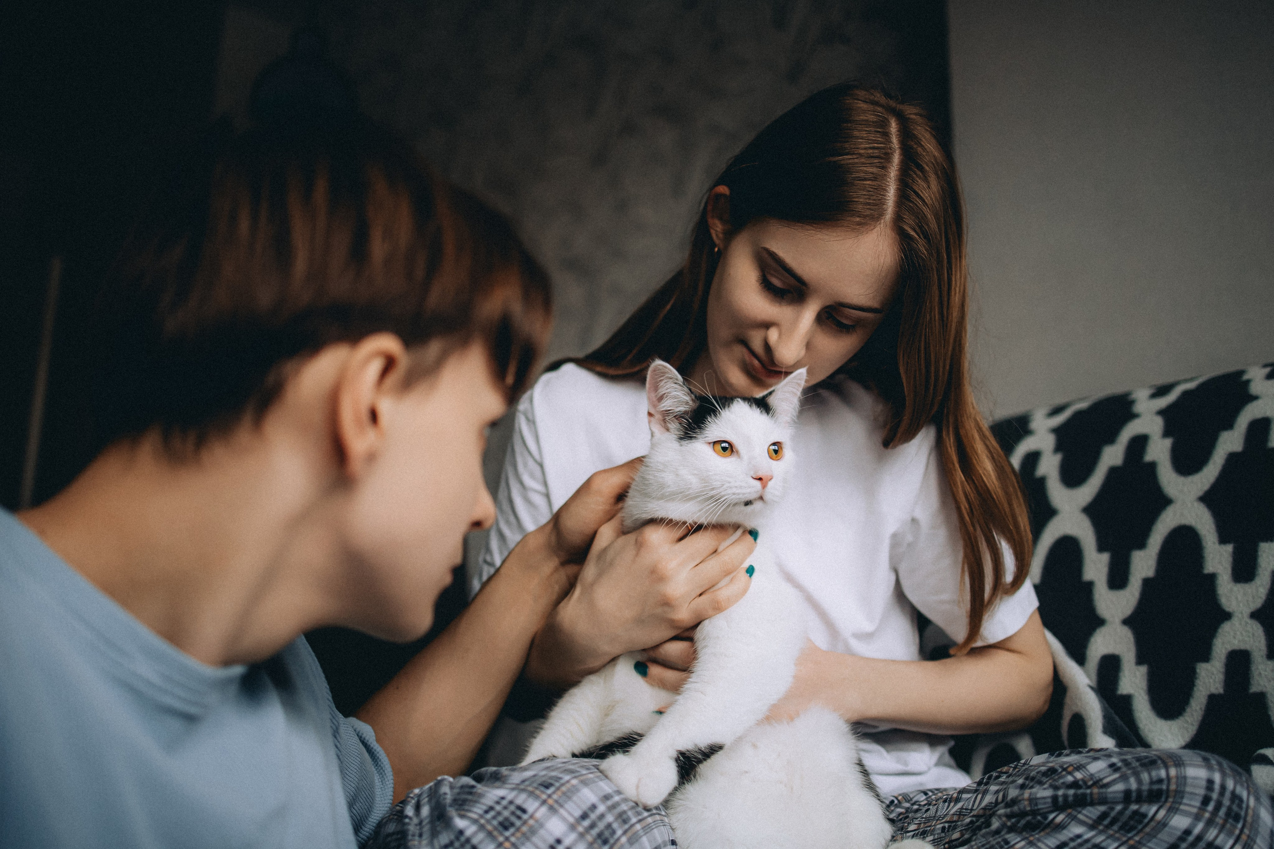 Рыся, Кепа и их семья