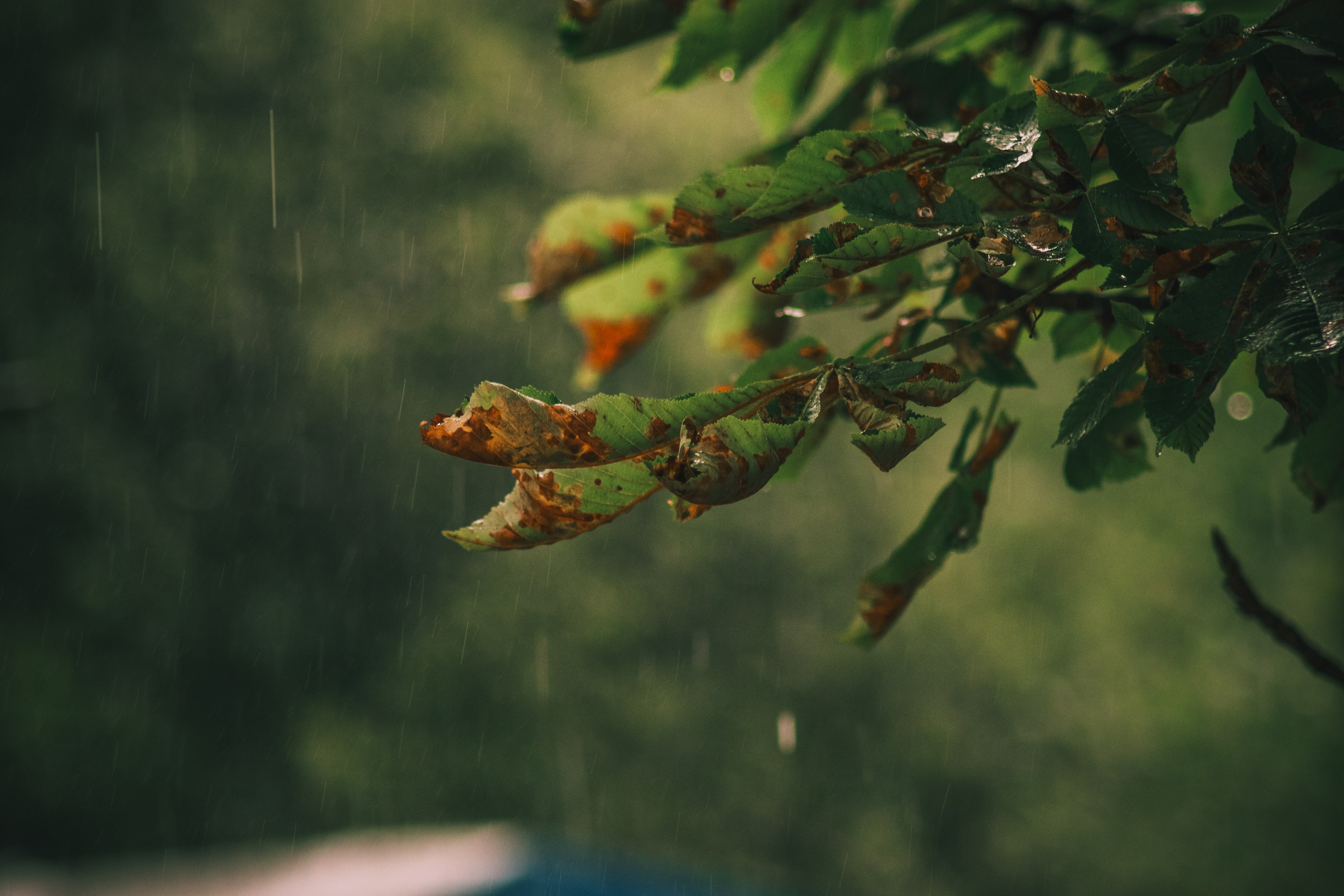 В О Д А. — Digital Noise —