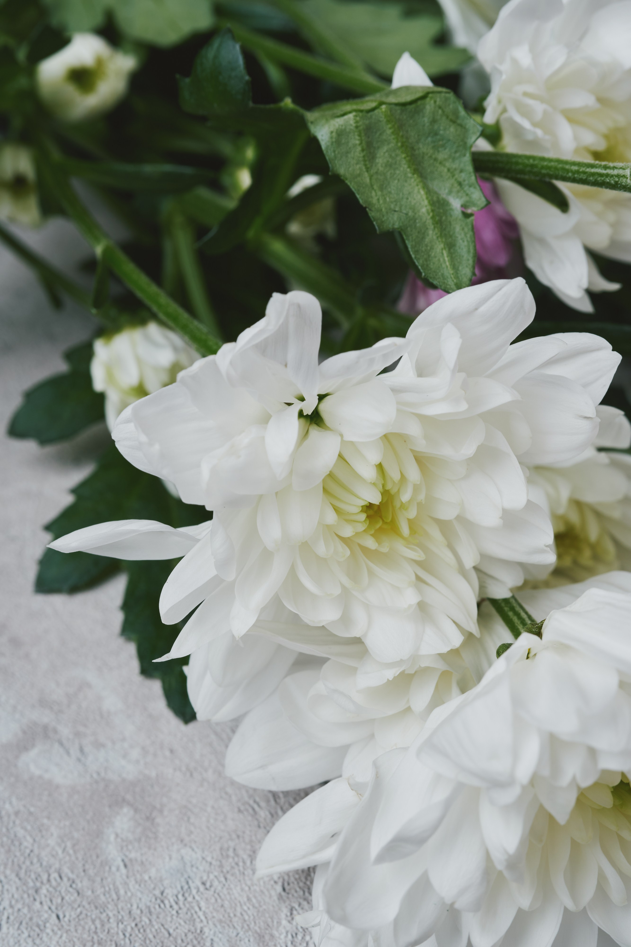 Художественная фотосессия с цветами иваново фотограф