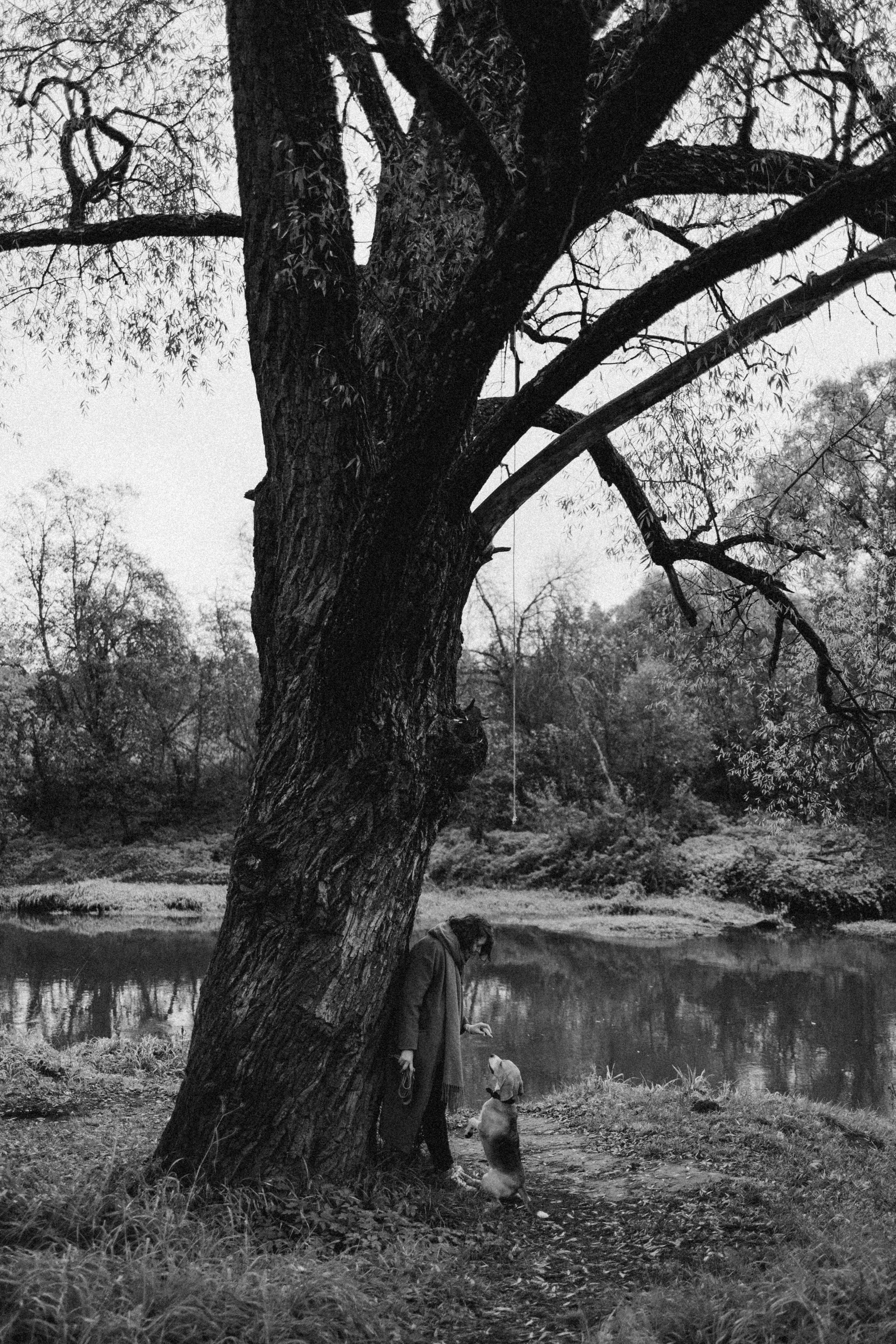 Лена и Тайгер. Фотограф — Анималист | Санкт-Петербург