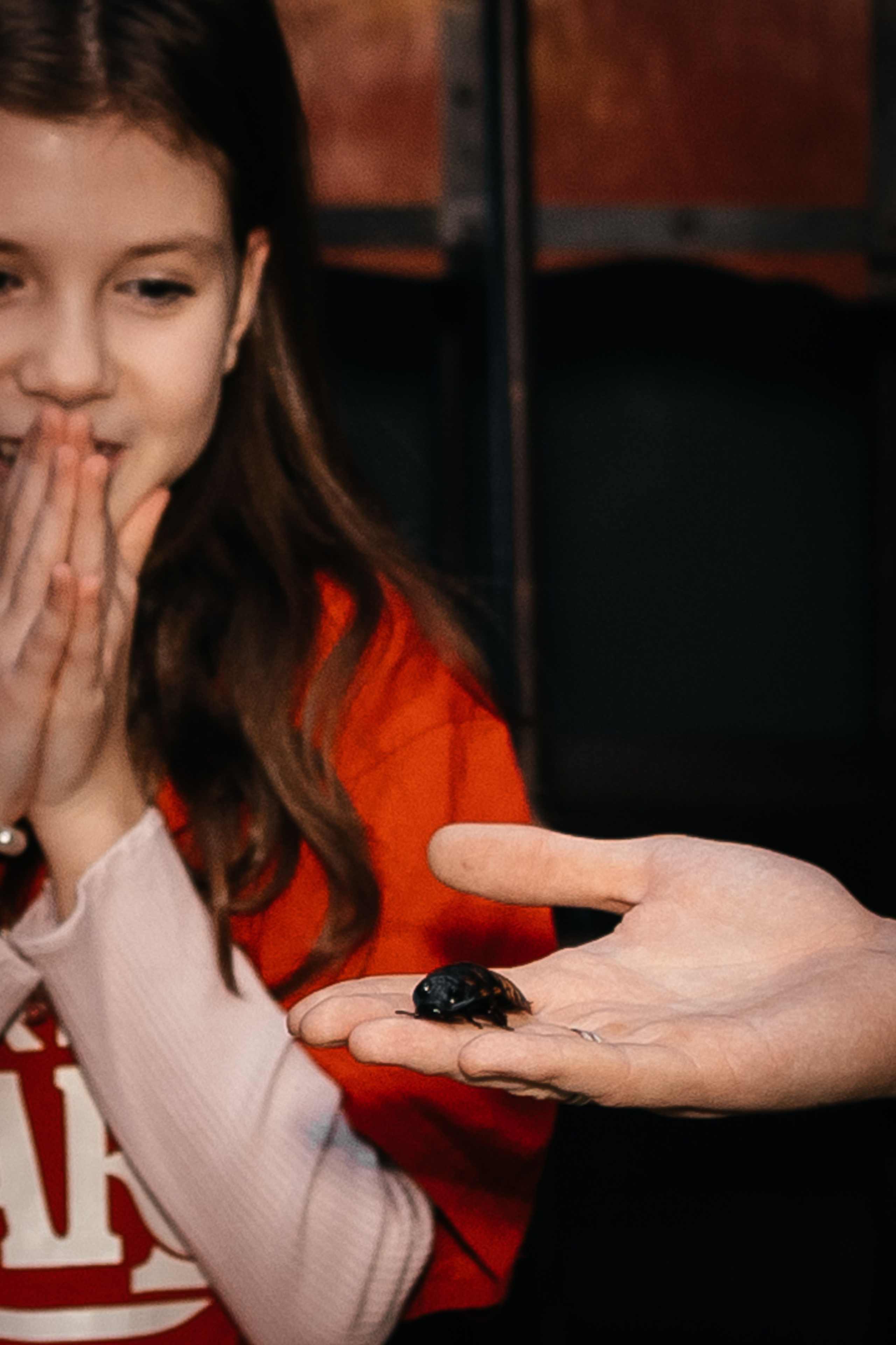 День Рождения дочки Елены Башкирцевой. Главная