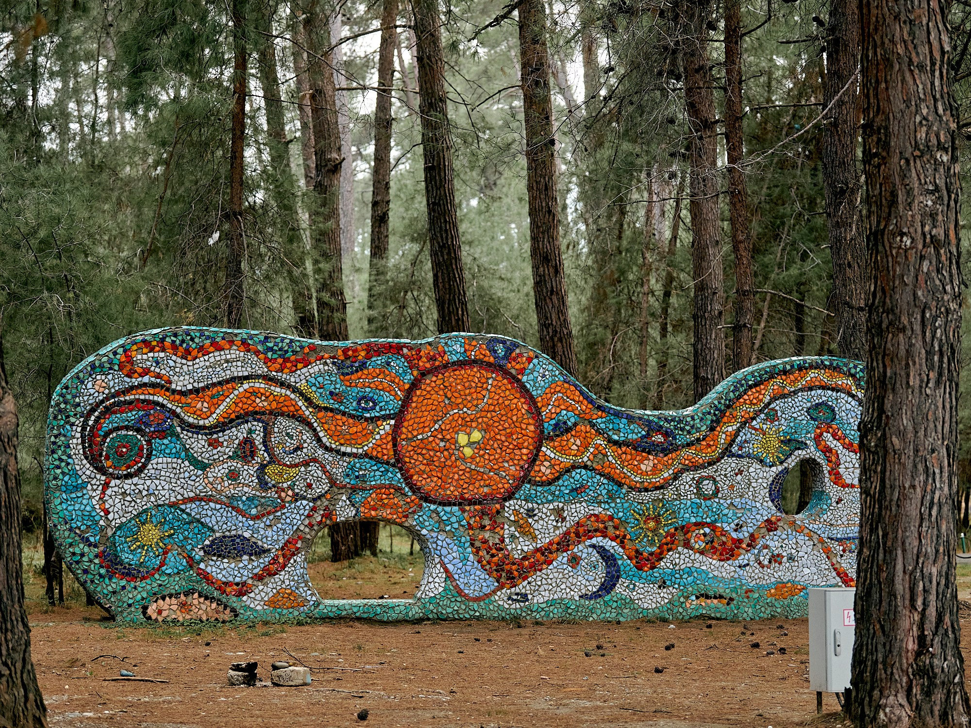 Пицунда, Абхазия. Декабрь 2024. Фотографии отовсюду и обо всем