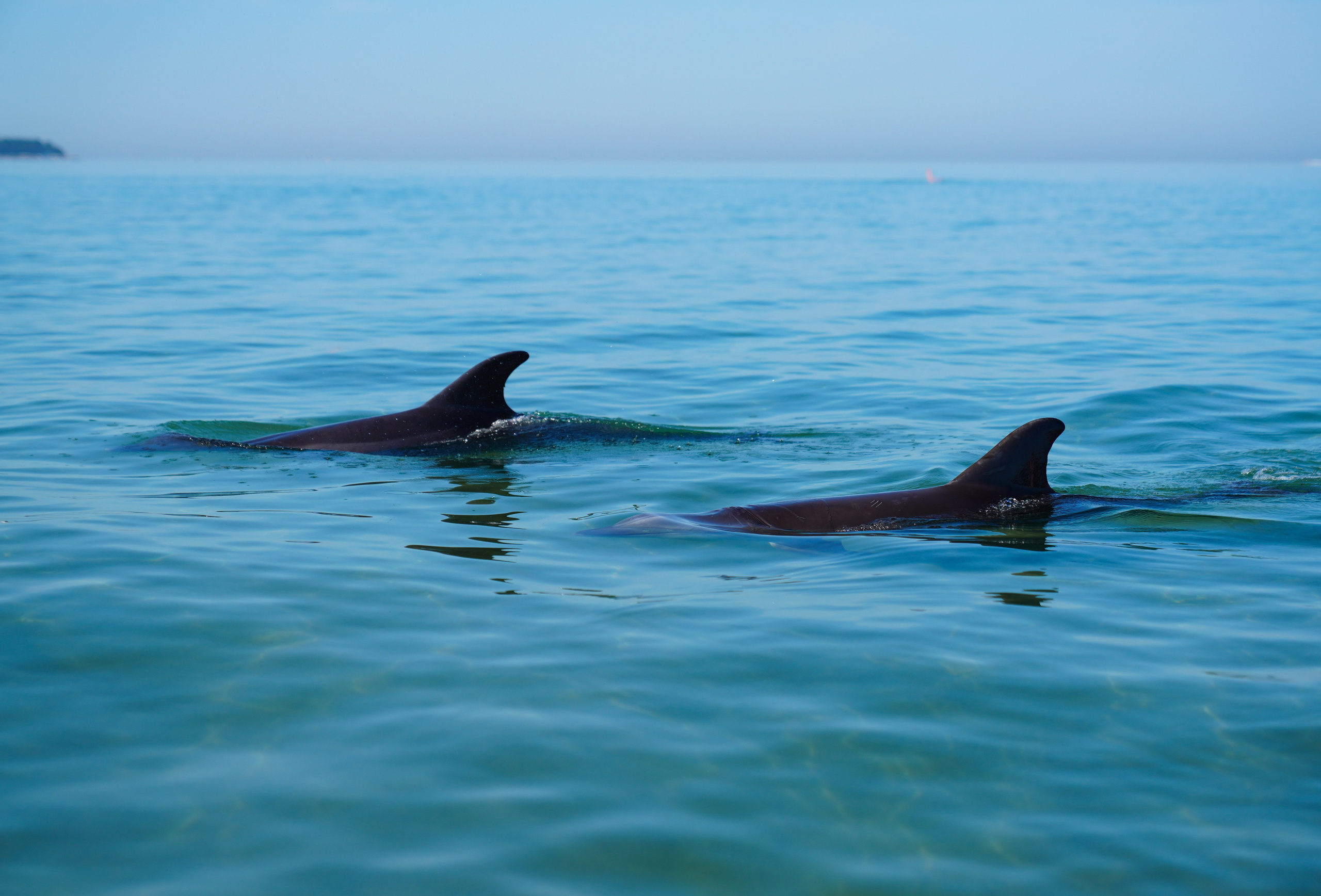 Анапа. Фотограф Сергей Кишкель Дананг Нячанг Фукуок