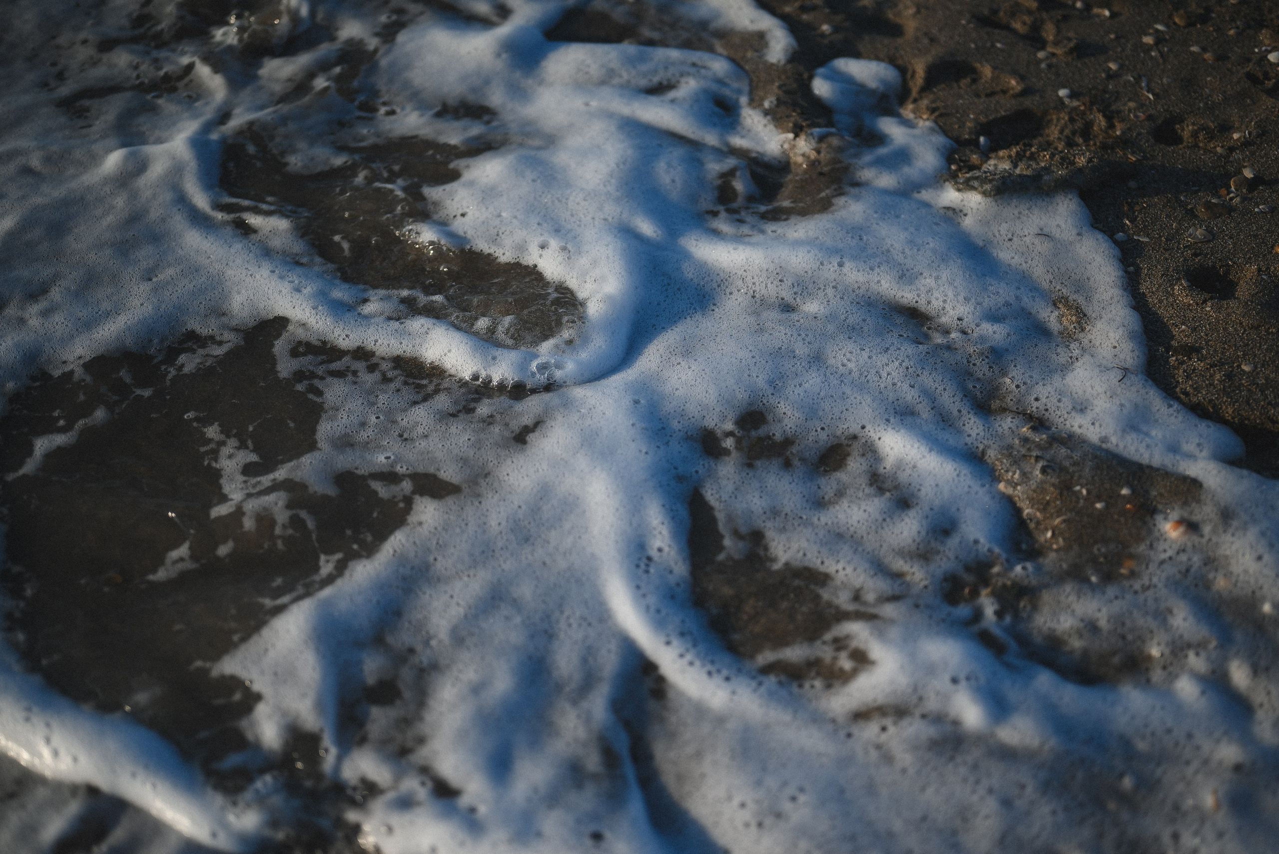 Коса (Крым). Свадебный фотограф в Крыму Алексей Лобач