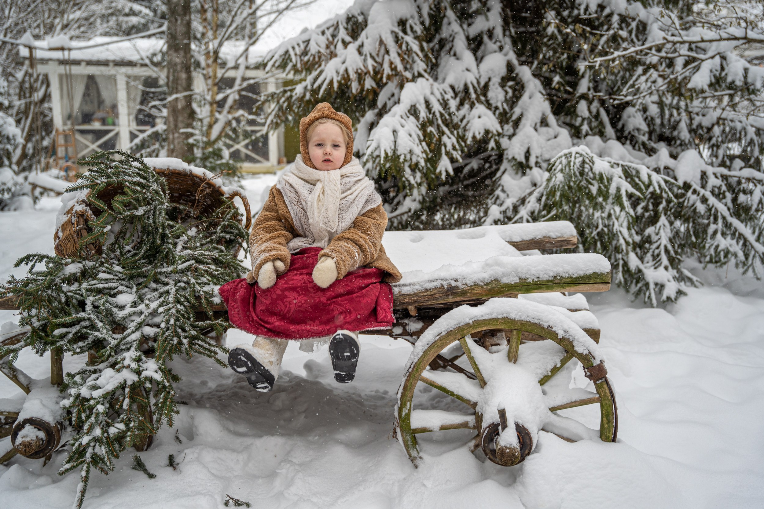 Лесное. Главная