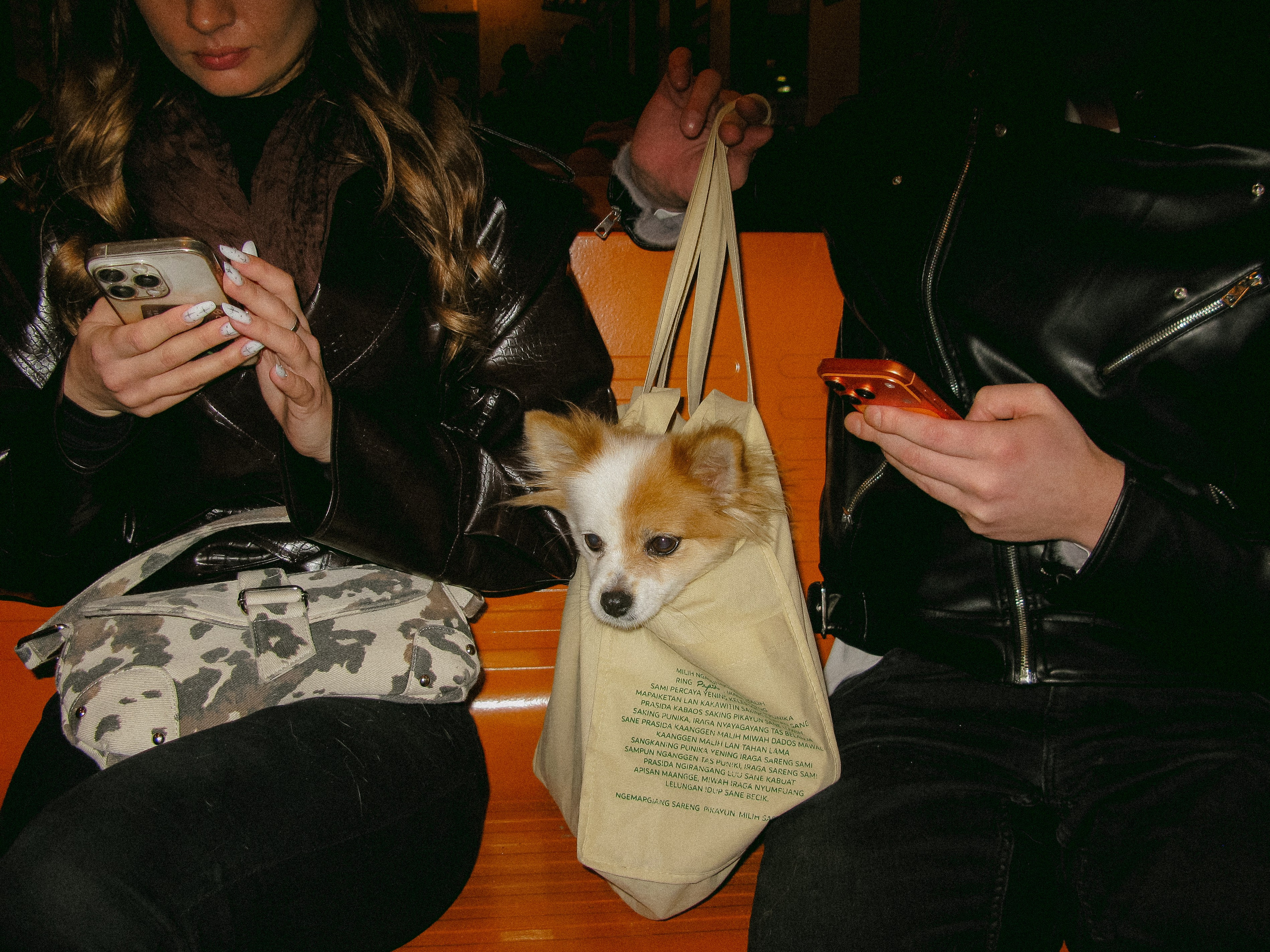 Mar. Фотограф Миланазавр