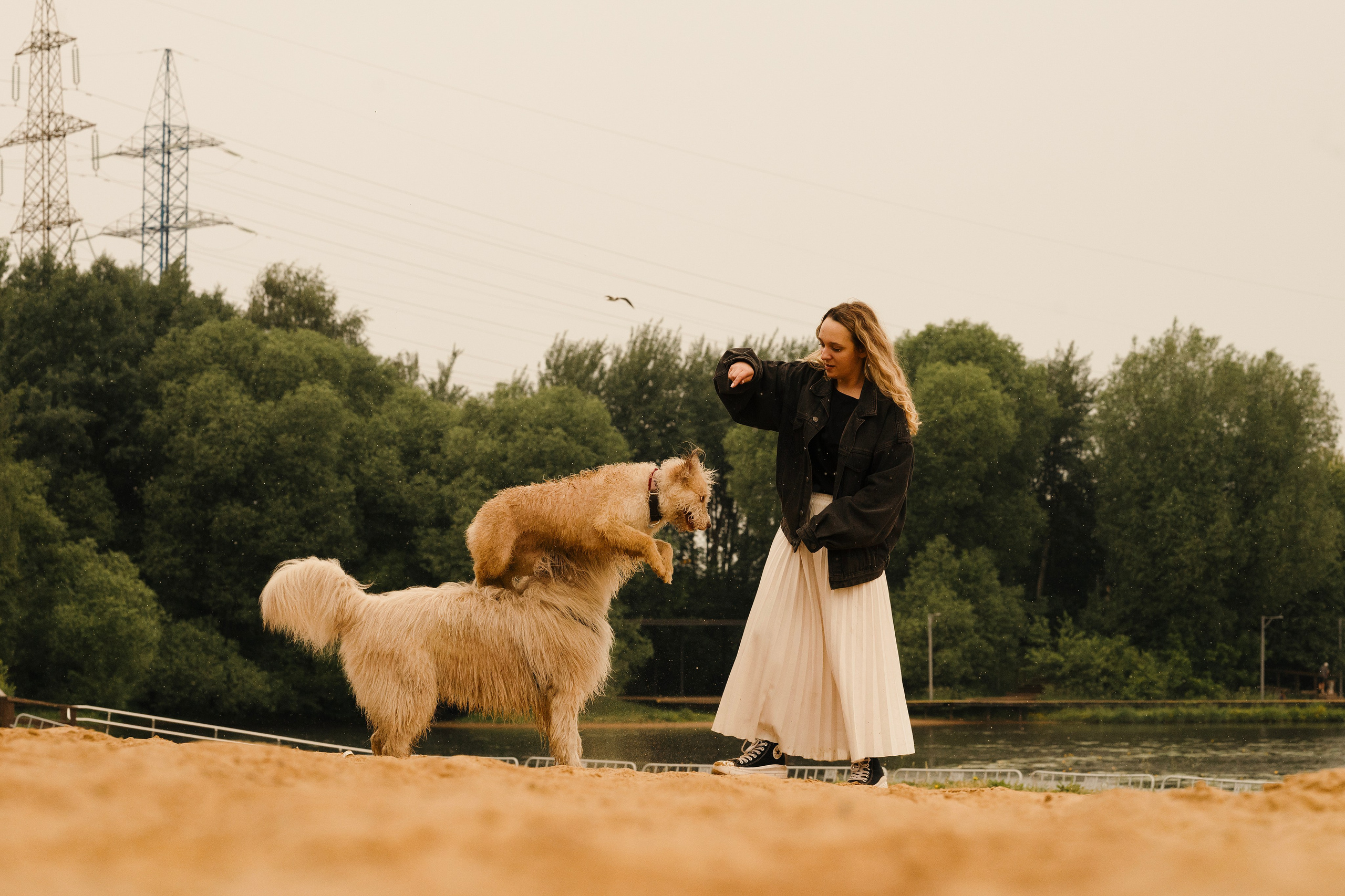 Акиро и Йоши. Фотограф- анималист Александра Матвеева