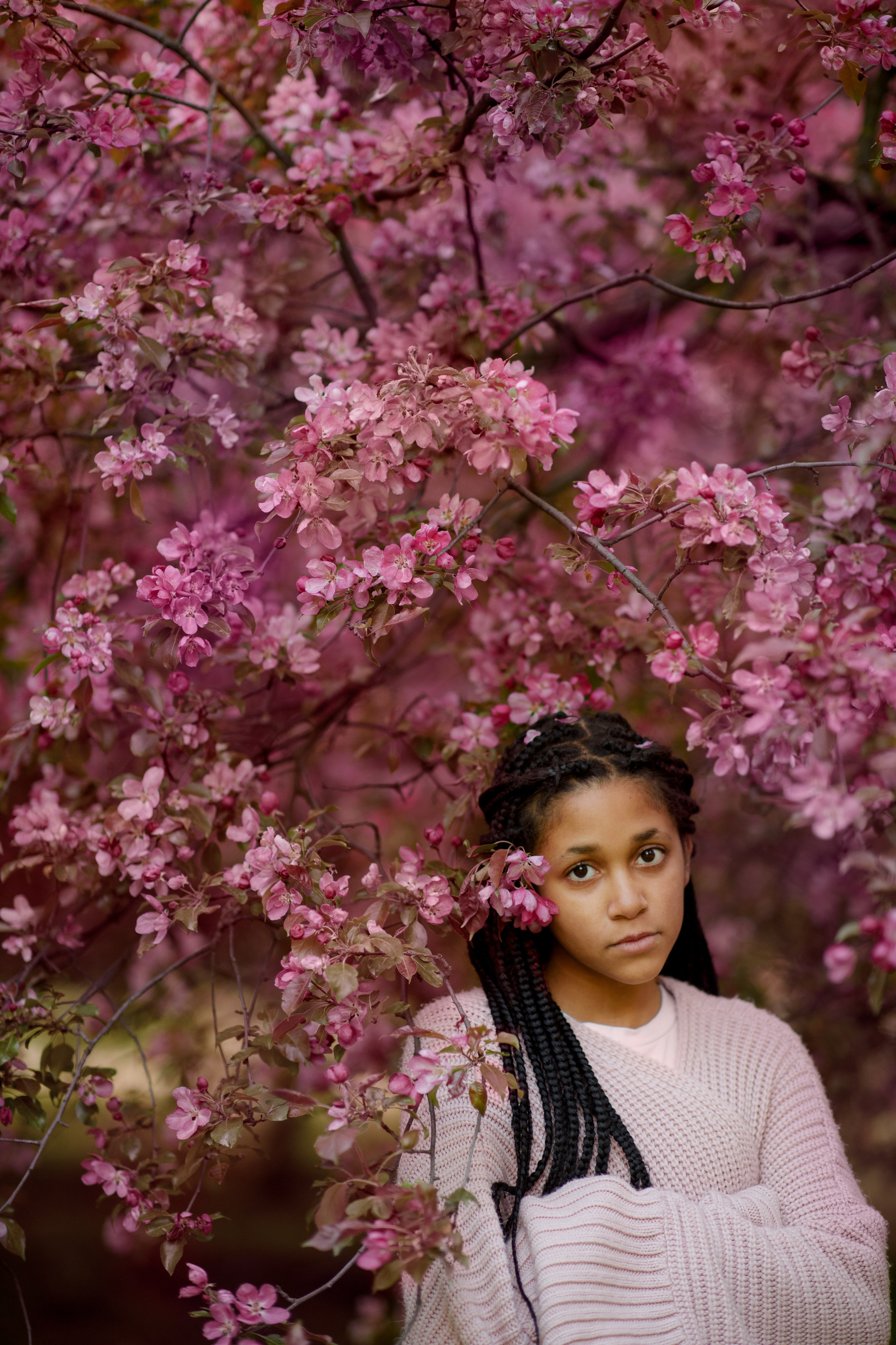 Яблони в Коломенском. Ясмина. Главная