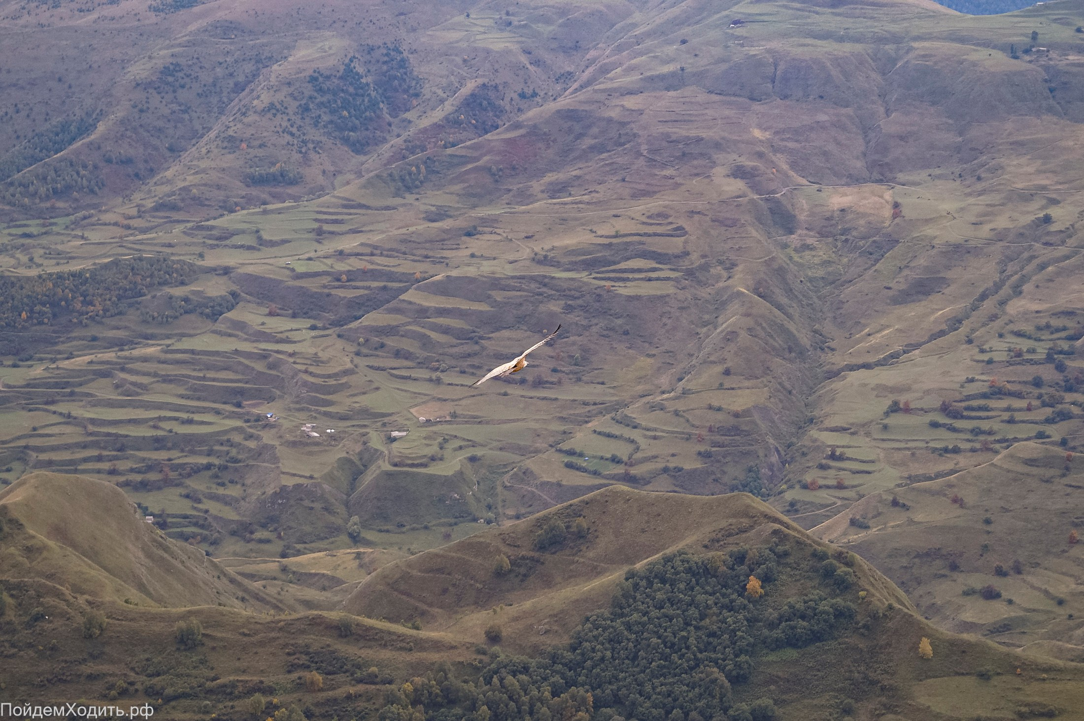 Nordic Walkers в Дагестане. Фото из походов и путешествий клуба скандинавской ходьбы Пойдем Ходить