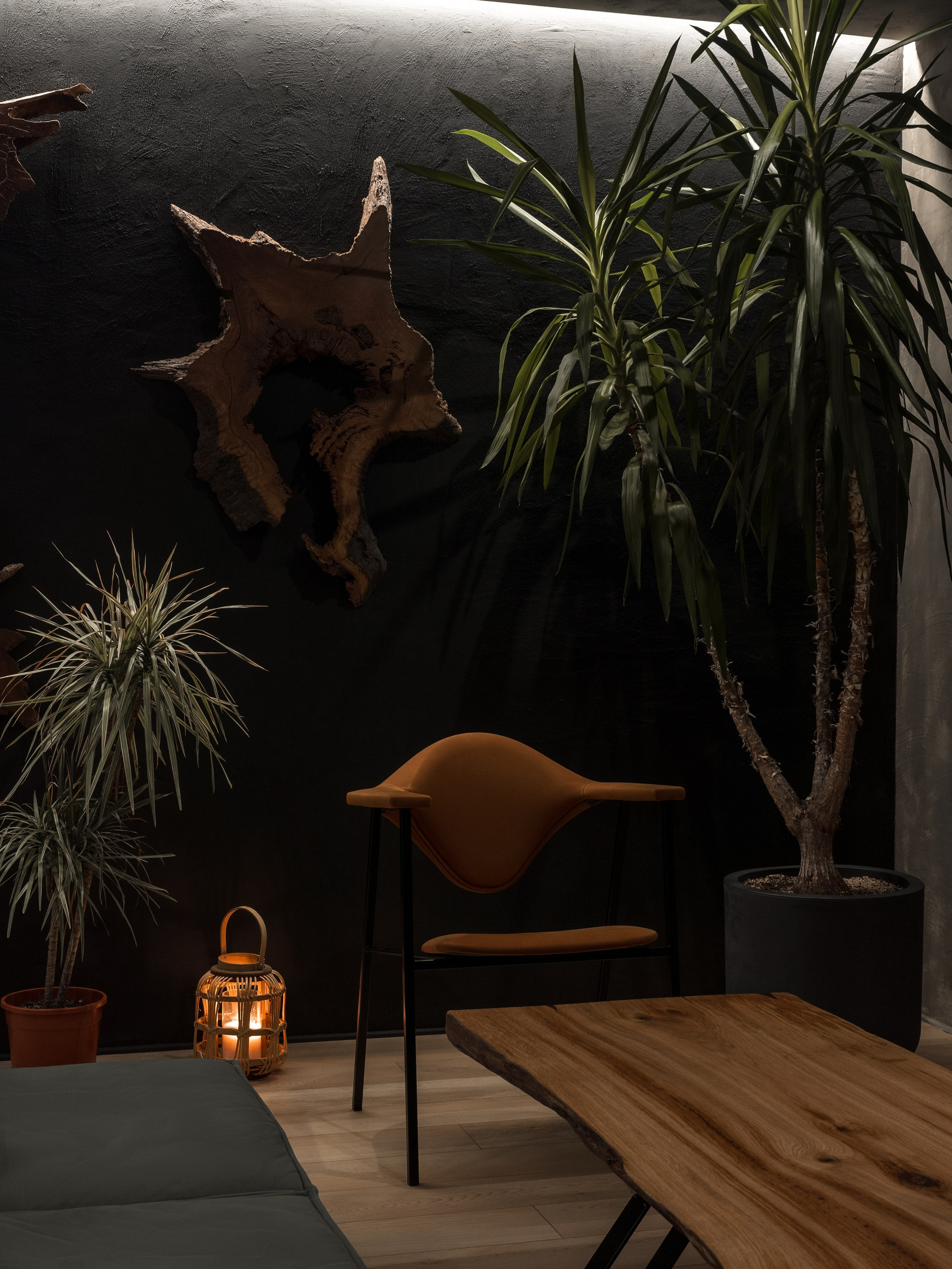 Yucca Bar. Klauzevits Workshop