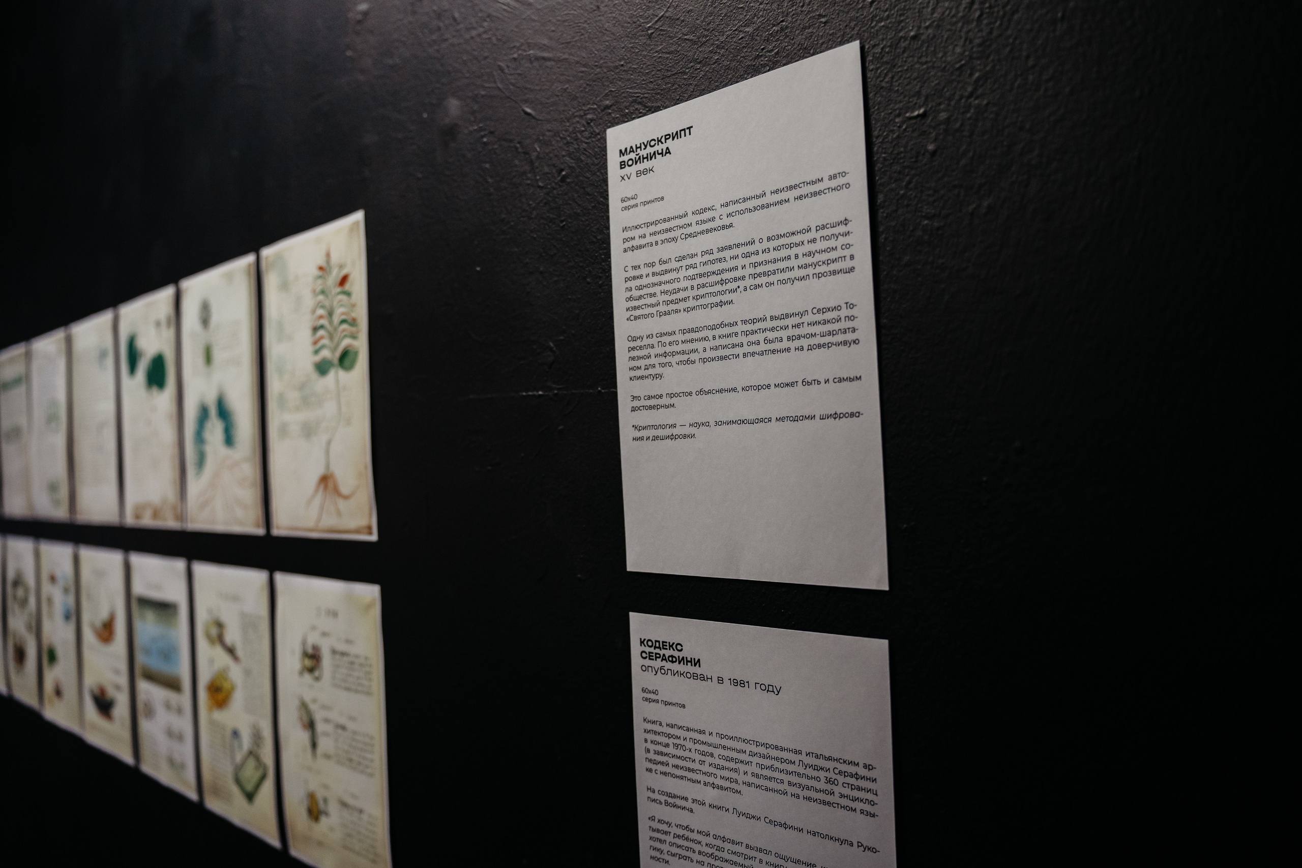 «Трактат о Корчевателе». Современная художница Елена Алексеева (Alpha_Vita)