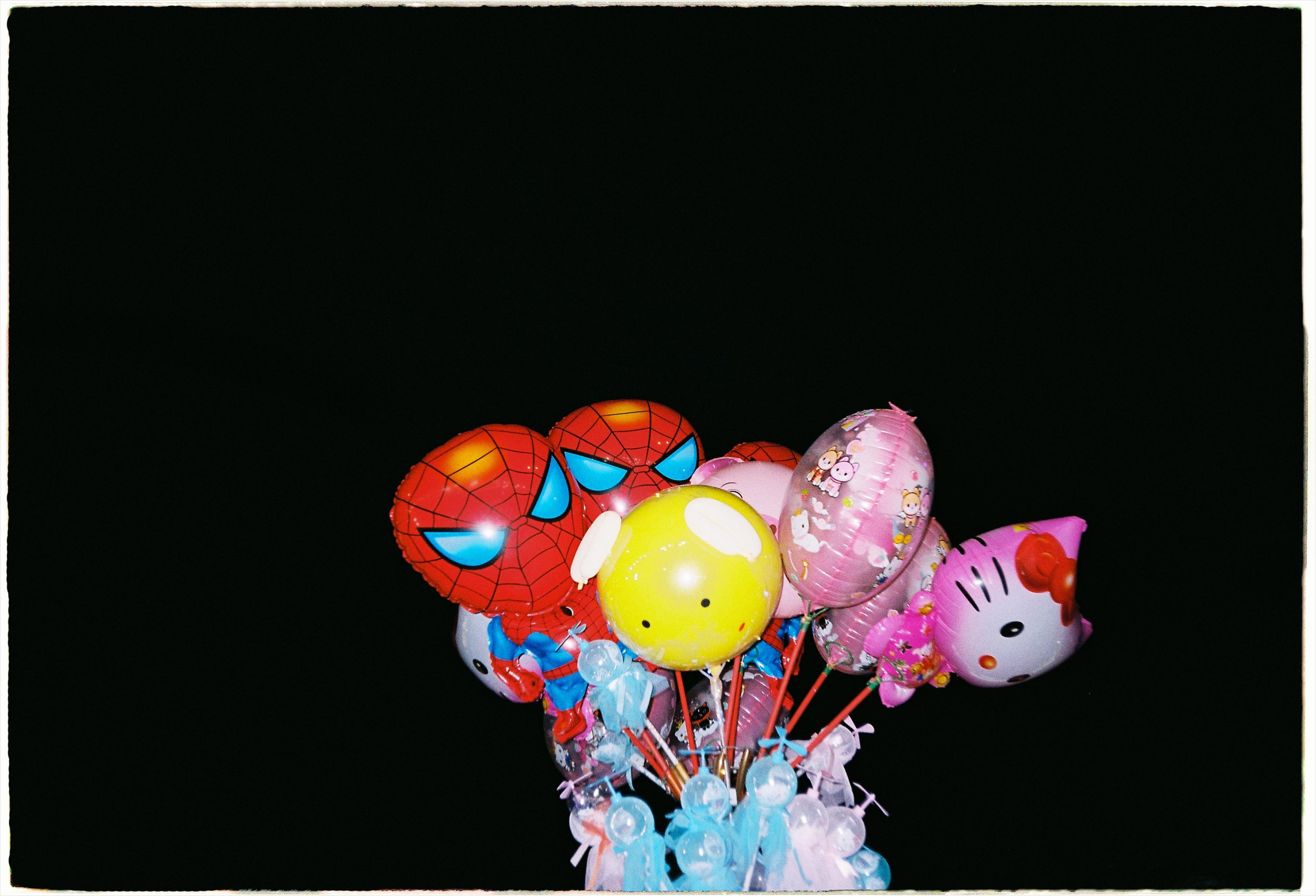 Dalat 2024. Film Photographer in Da Nang, Vietnam — Tanya Parfenteva