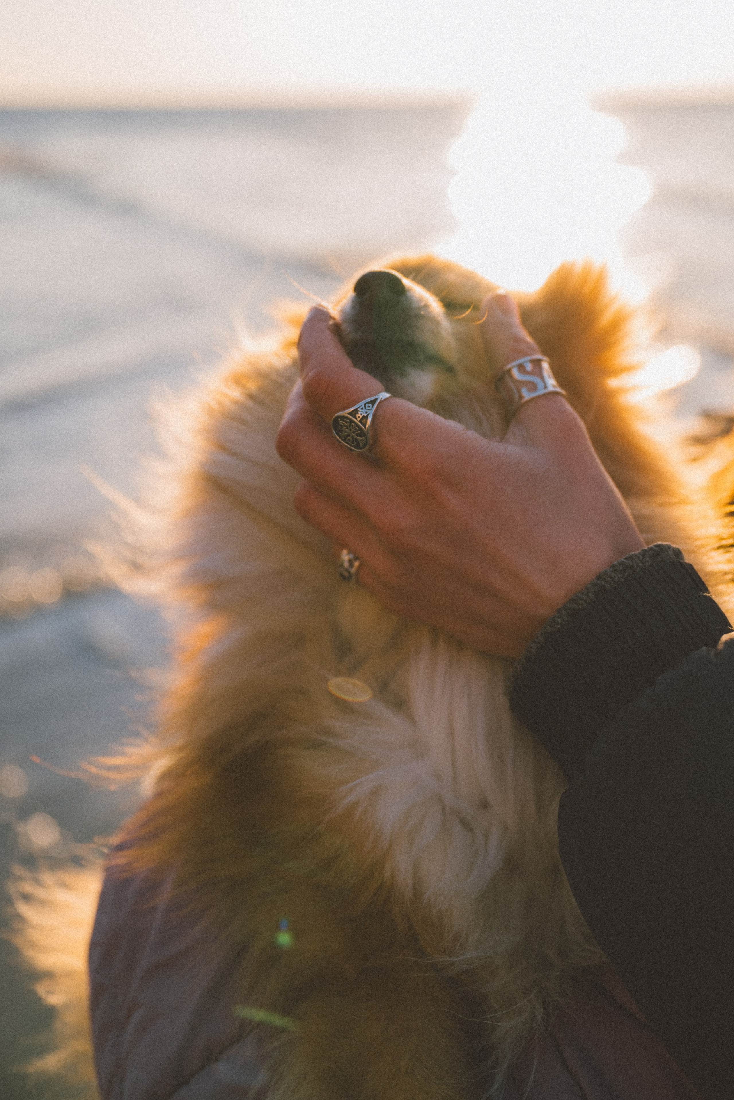 Анна и Артем. Фотограф Калининград Ангелина Воробьева