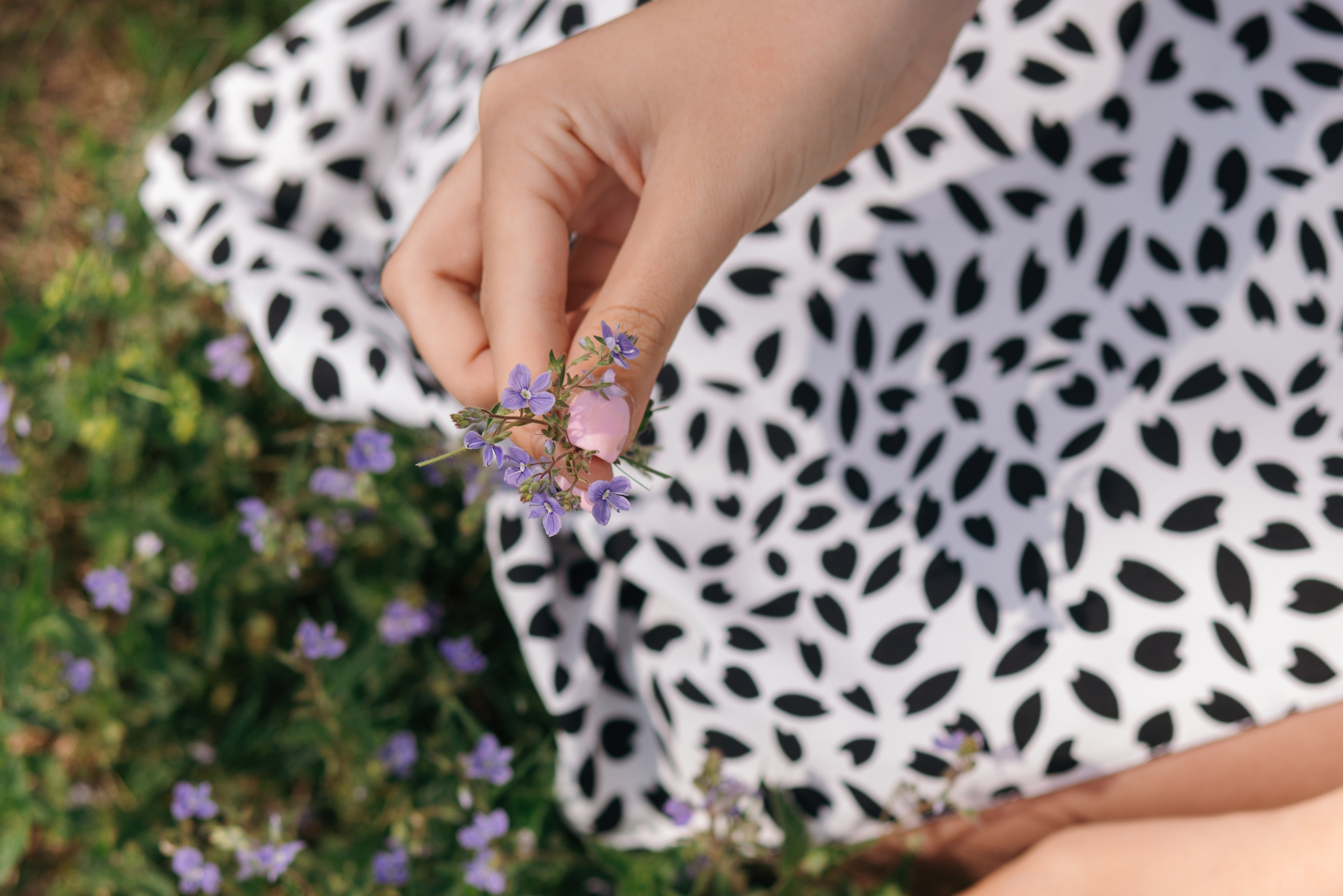 Ежегодное событие Полины. Семейный фотограф в Вышнем Волочке — Ульяна Иванова | Фотосессии для всей семьи