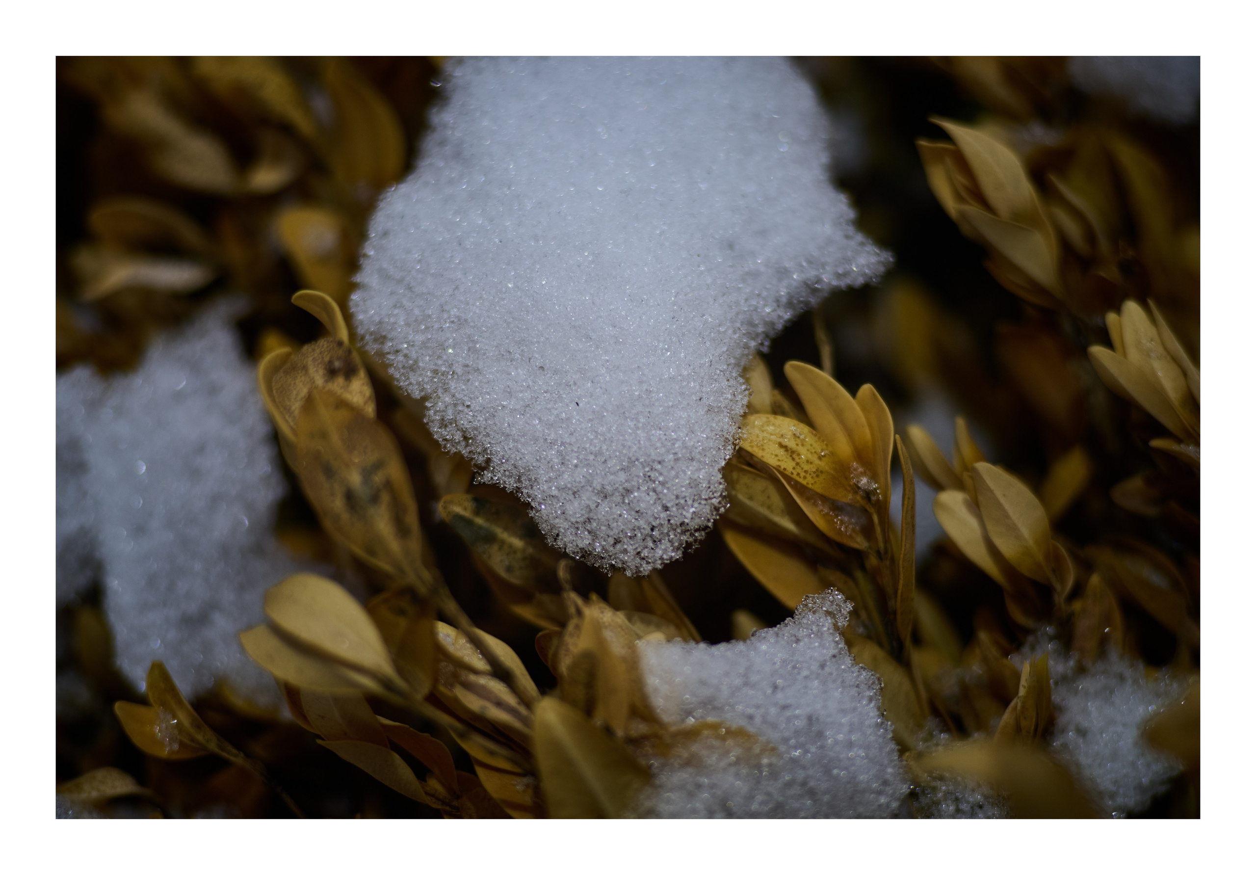 Фотопринты А3. Фотопроект «Территории»