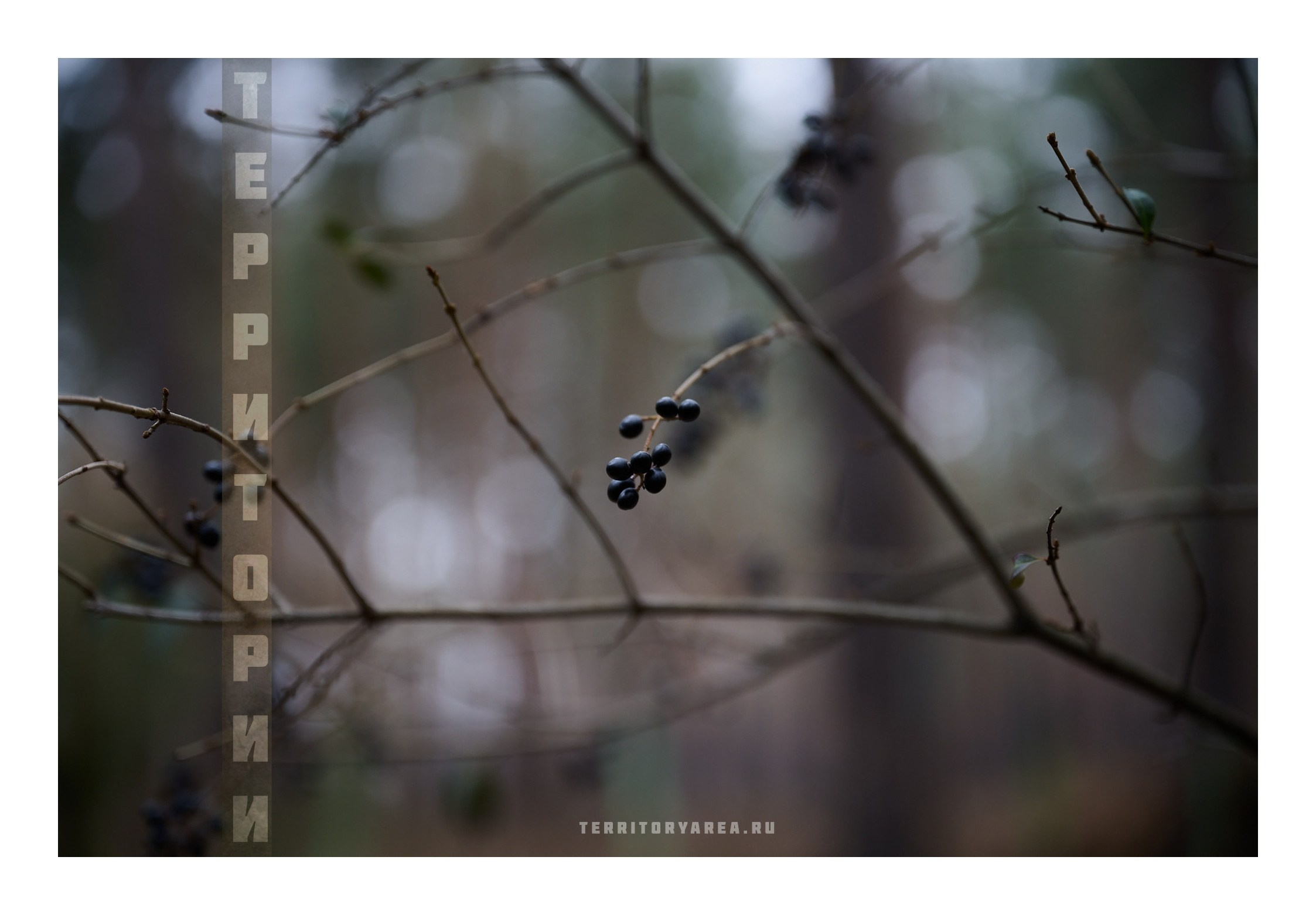 Фотопринты А3. Фотопроект «Территории»