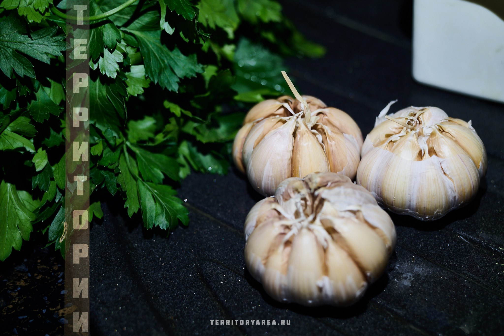 Открытки фотопроекта «Территории». Фотопроект «Территории»