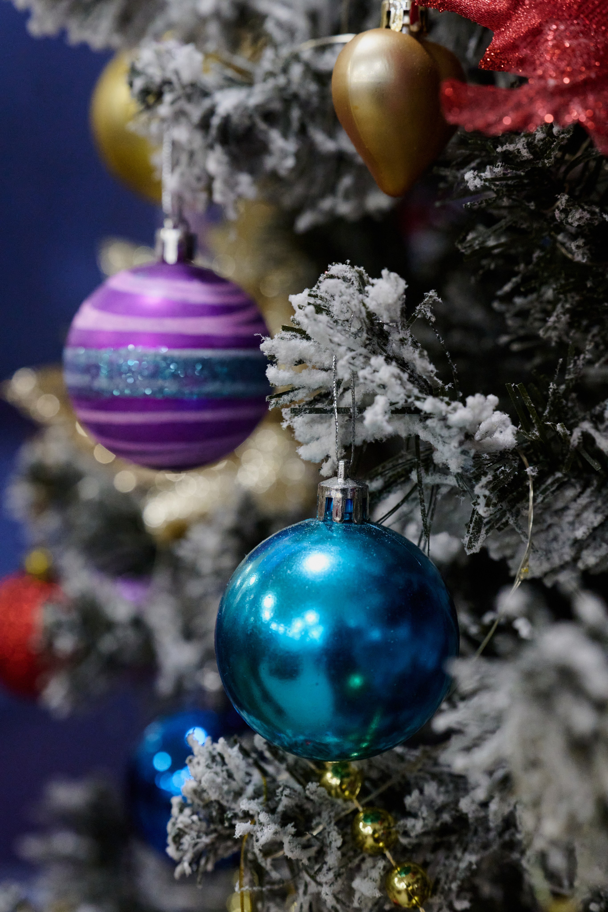 Донецк. Январь 2026. Фотопроект «Территории»