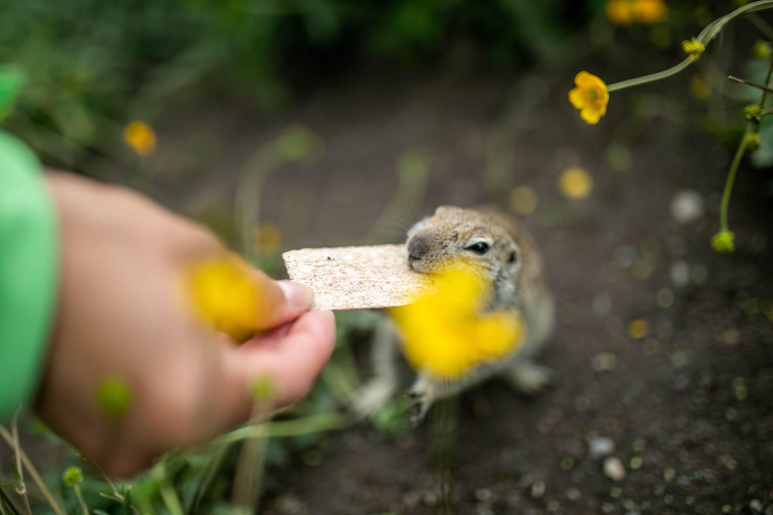 Эльбрус Север 2019. Тревел-фотограф Олег Гуров