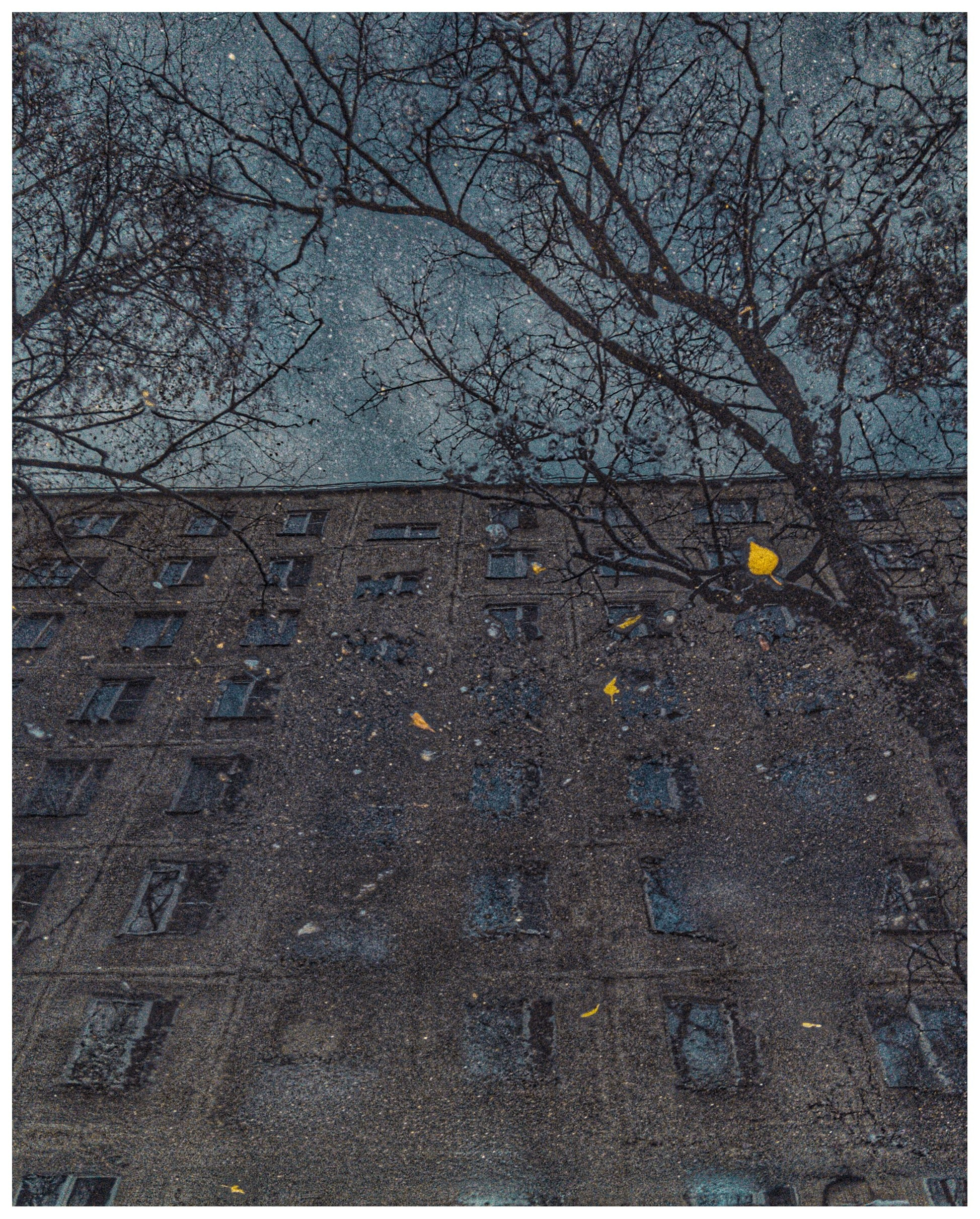 Мир повседневных Вещей. Репортажный и портретный фотограф, Влад Хафизов, Москва