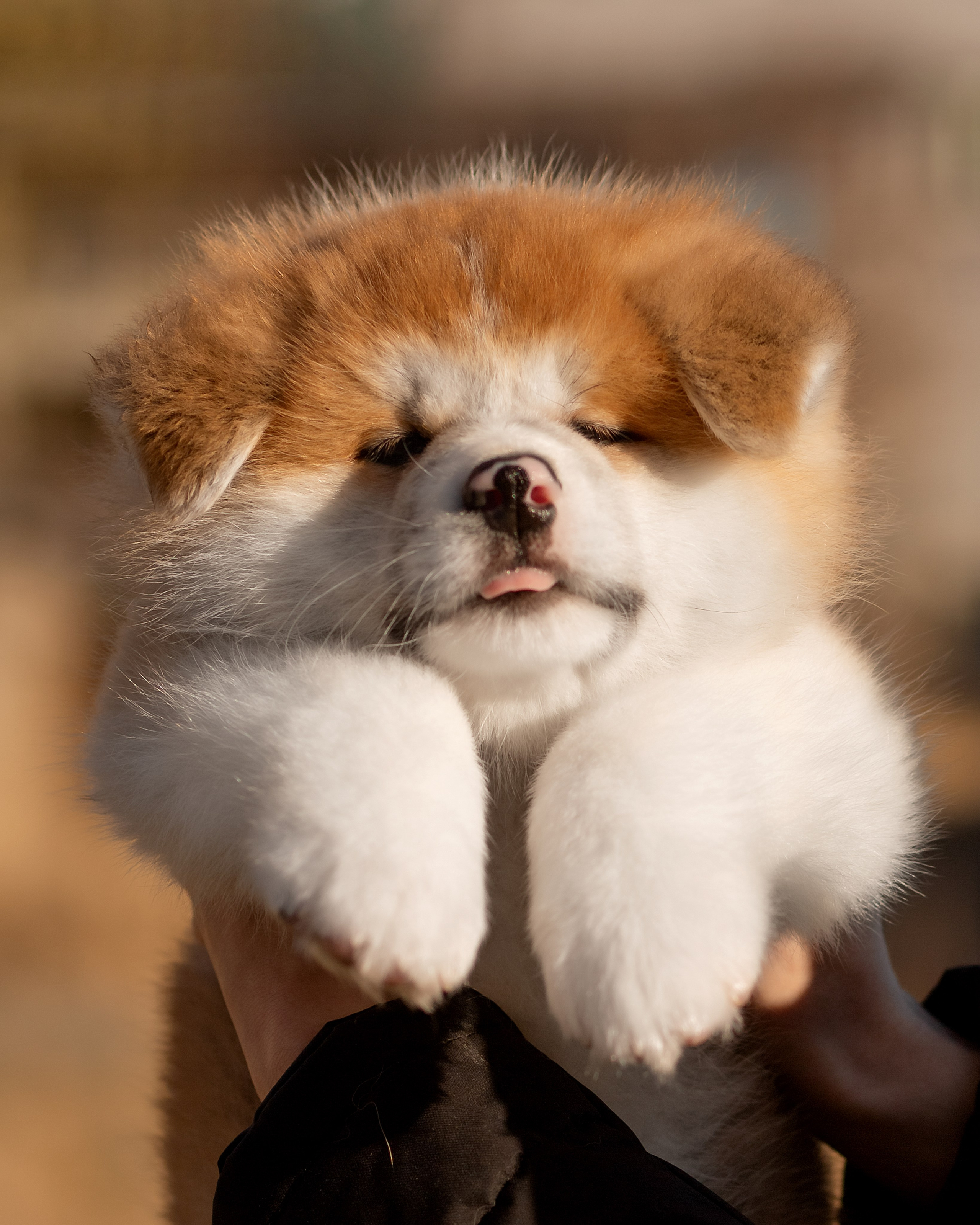 Предыдущие пометы. Алена Попова — фотограф в Хабаровске