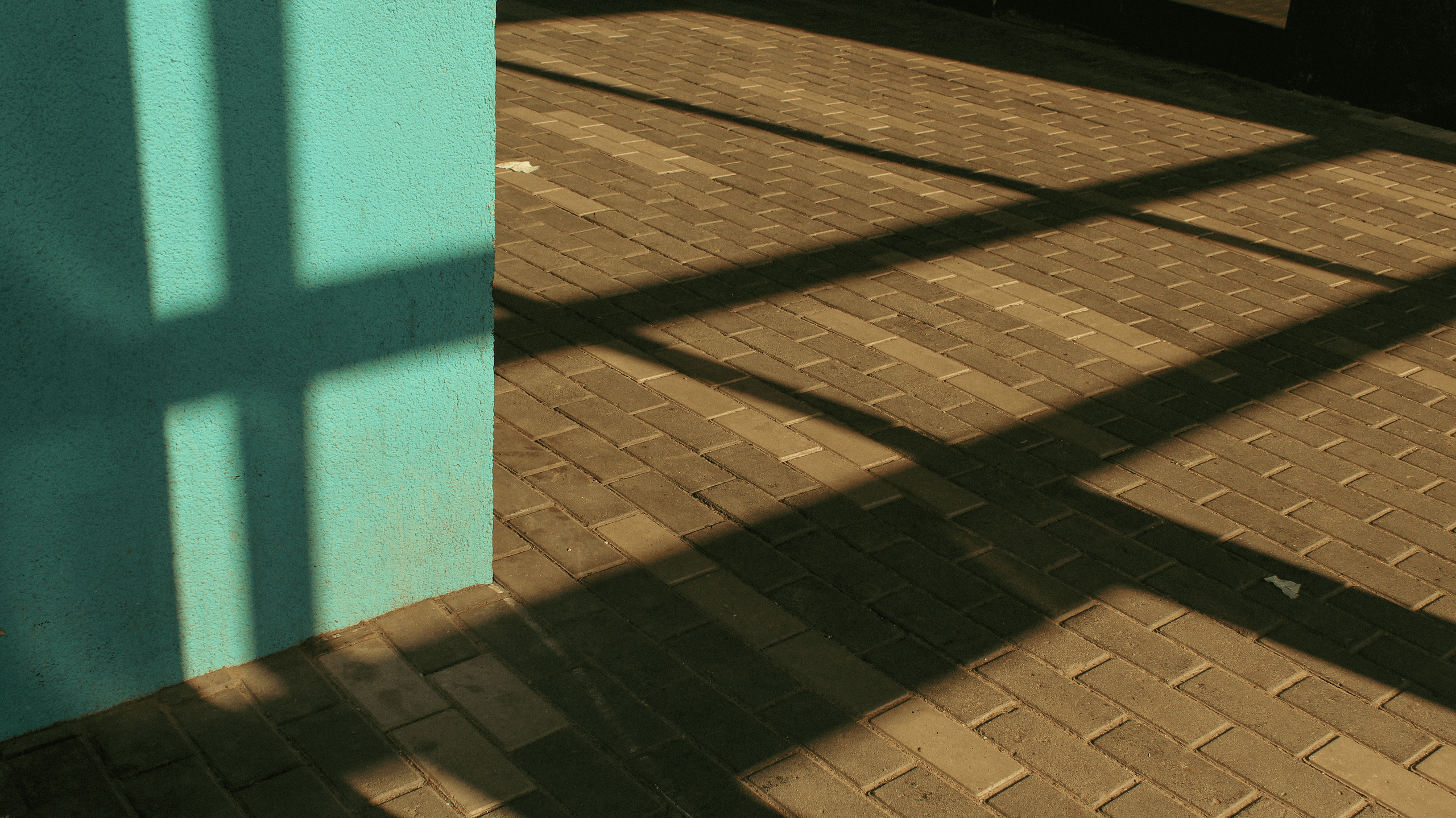 TMN summer '24. Фотограф/дизайнер в Екатеринбурге Хитрый Дмитрий