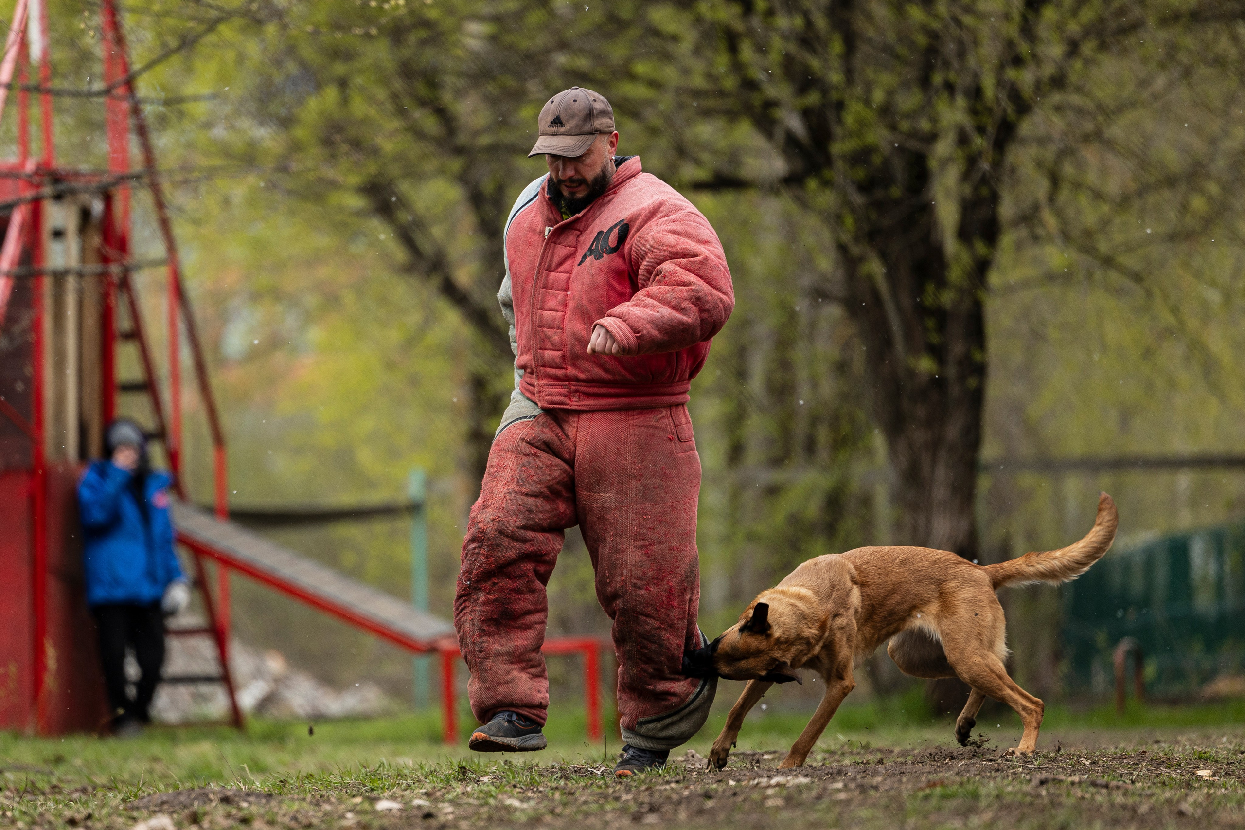 Квалификационные состязания по мондьорингу г. Вологда 11.05.24. Фотограф-анималист Анна Маринич