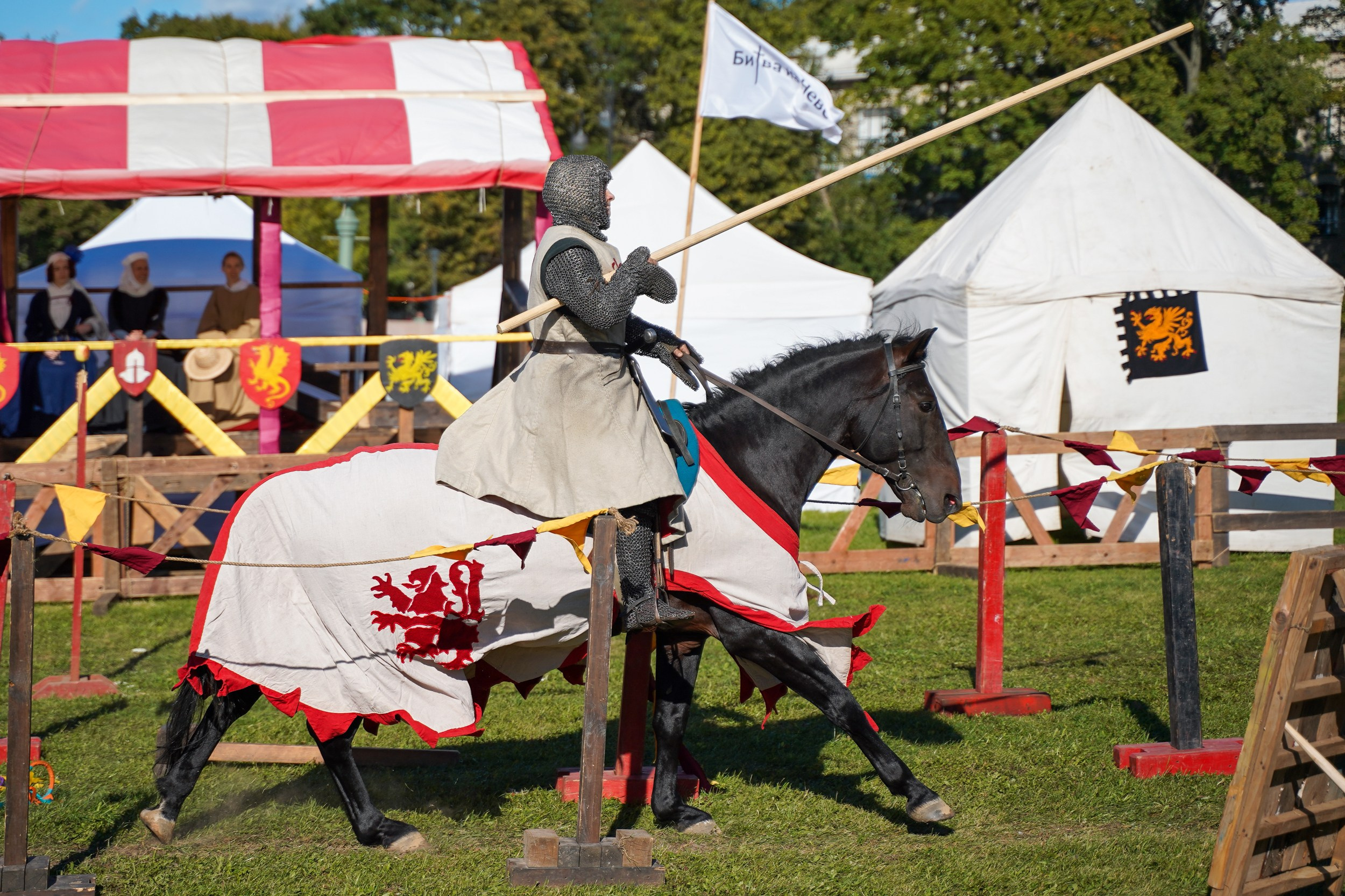 Рыцарский турнир в рамках фестиваля «Битва на Неве» Санкт-Петербург 2024 г. Фотограф-анималист, портретный фотограф в Чебоксарах Мария Садыкова