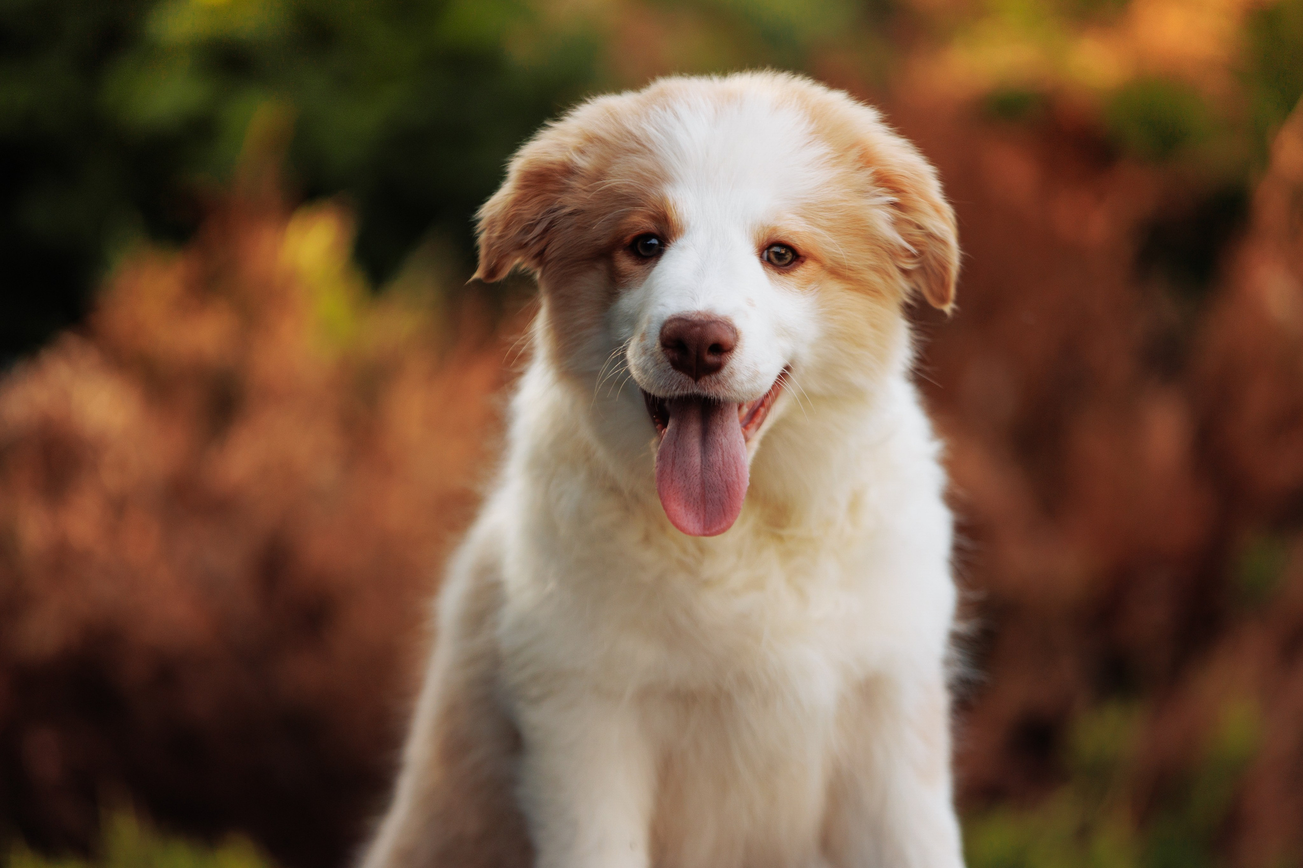 СОлнечные. О нас