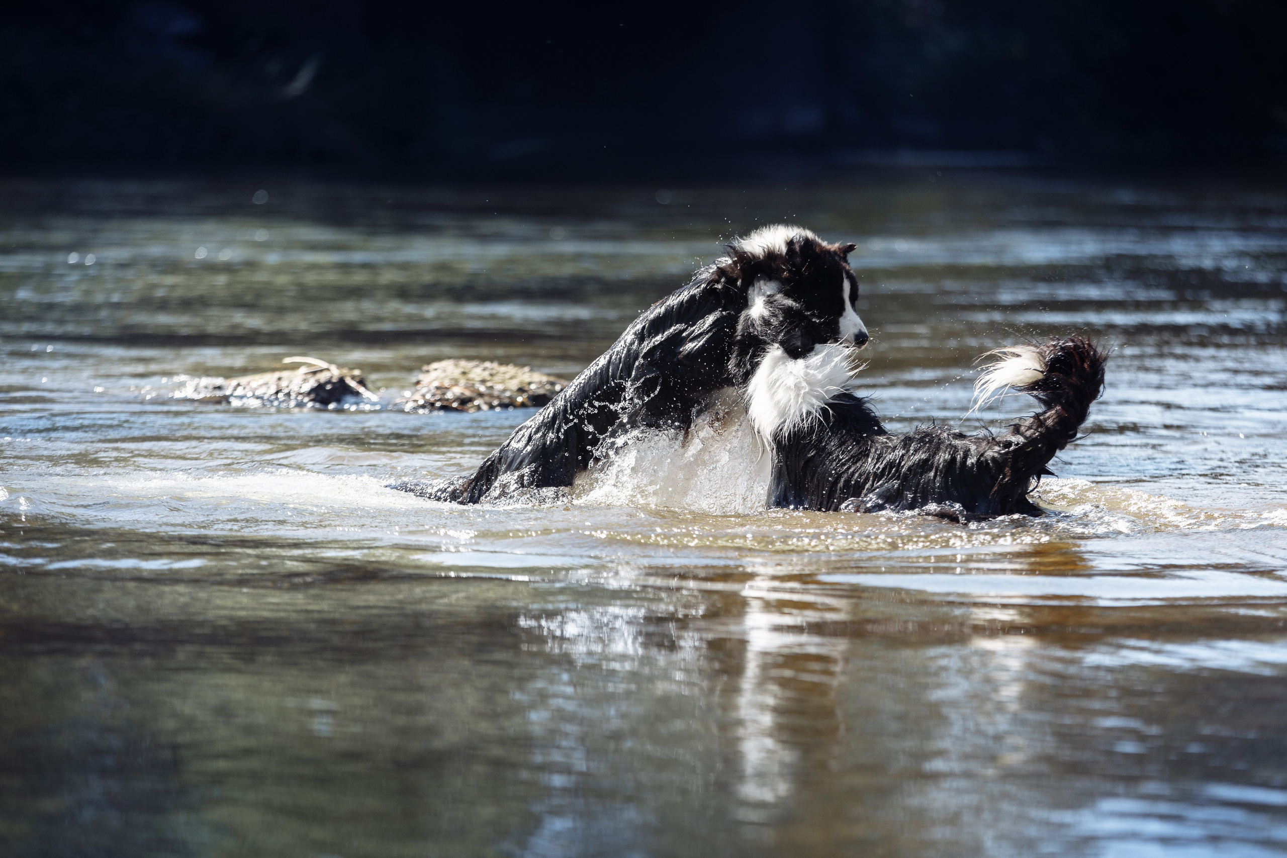 Водяные в Новотроицке. О нас