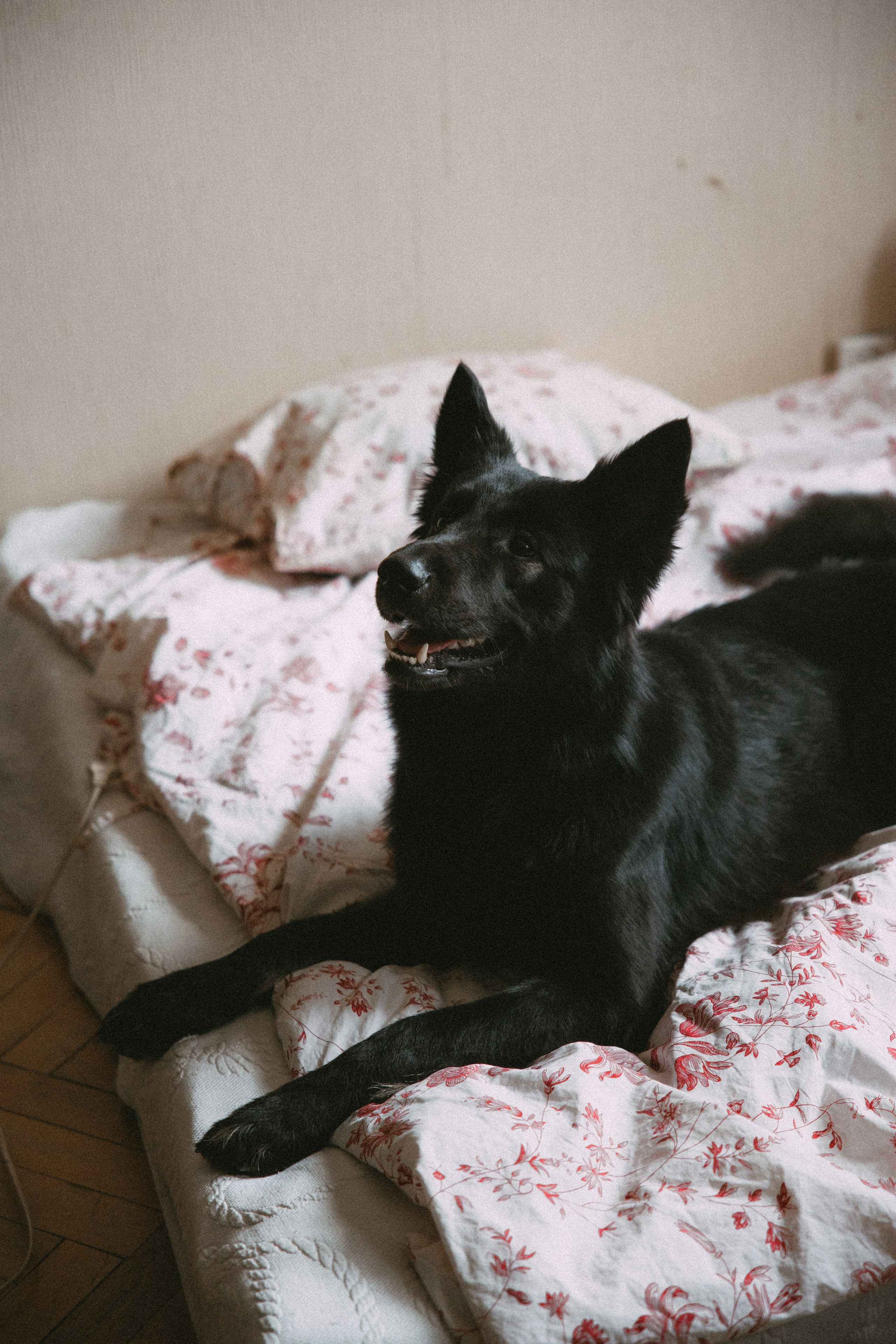 Ж & T | Санкт-Петербург. Фотограф Екатерина Амбрушкевич