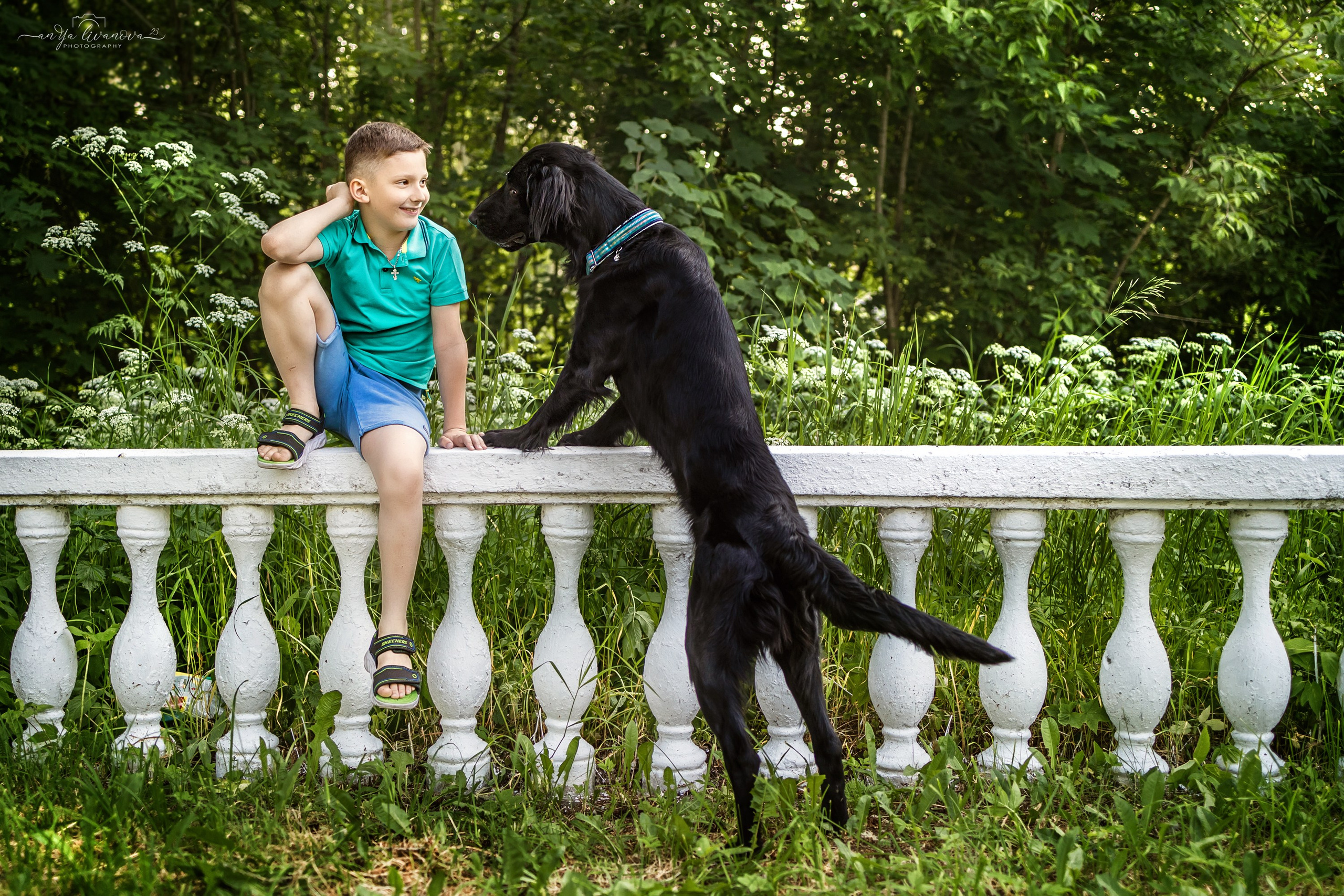 Художники…. Фотограф анималист Аня Ливанова | Рыбинск