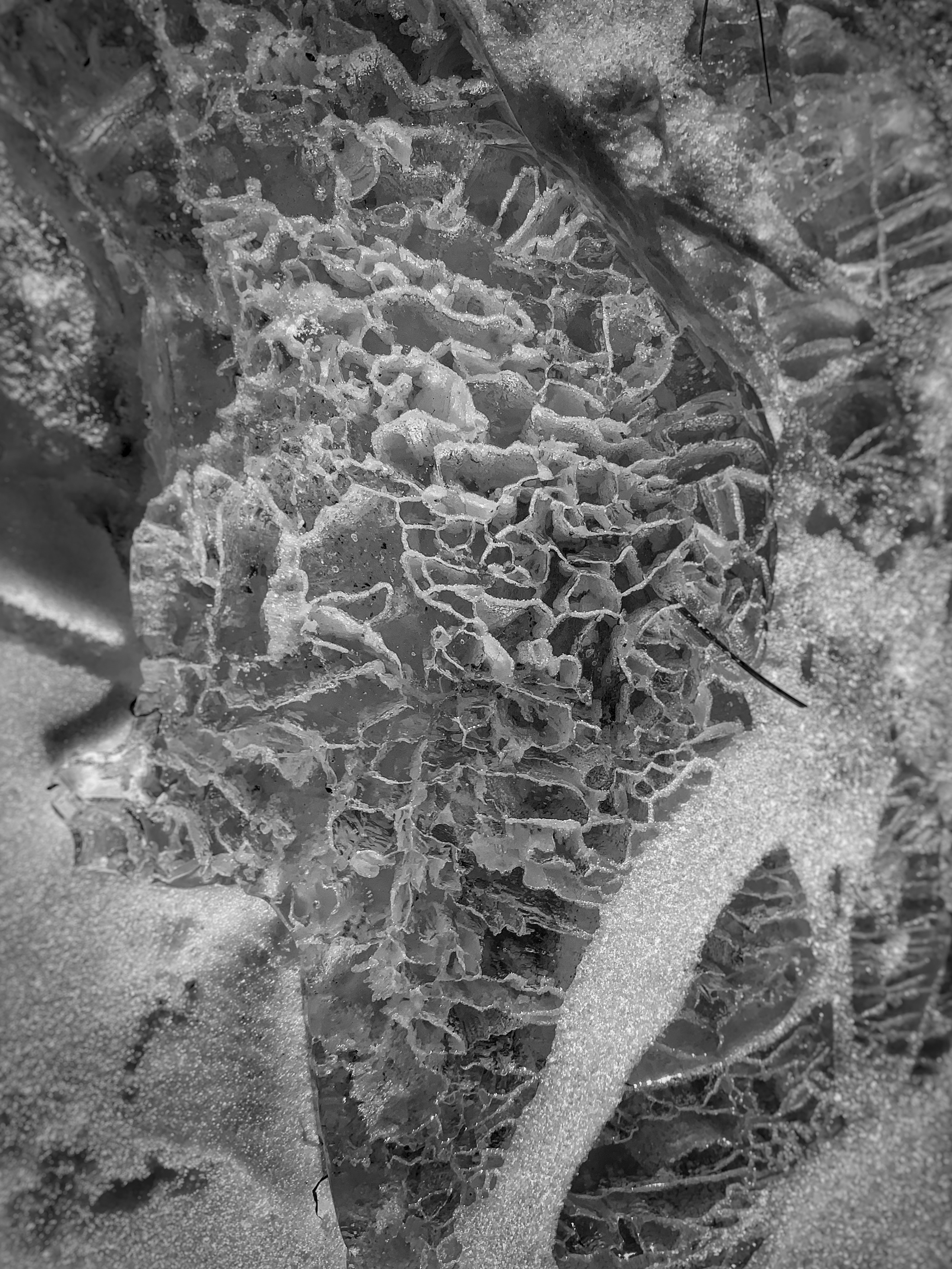 2022. Тащилин Сергей. Фотографии. Жизнь. Хобби