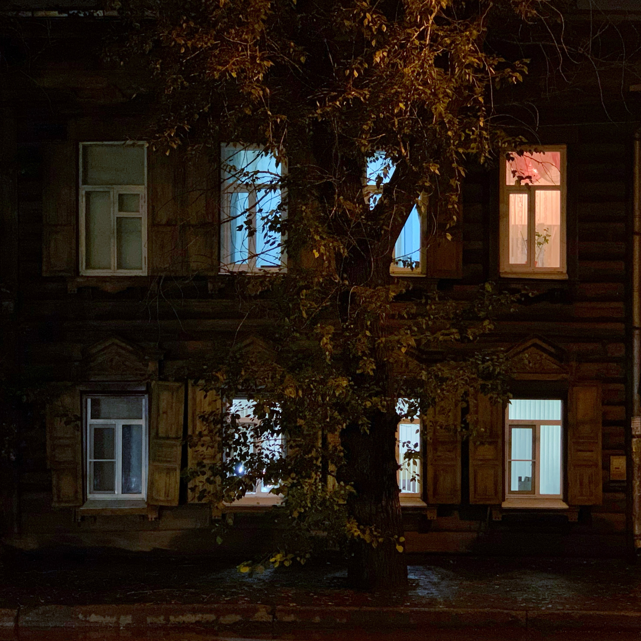 2020. Тащилин Сергей. Фотографии. Жизнь. Хобби