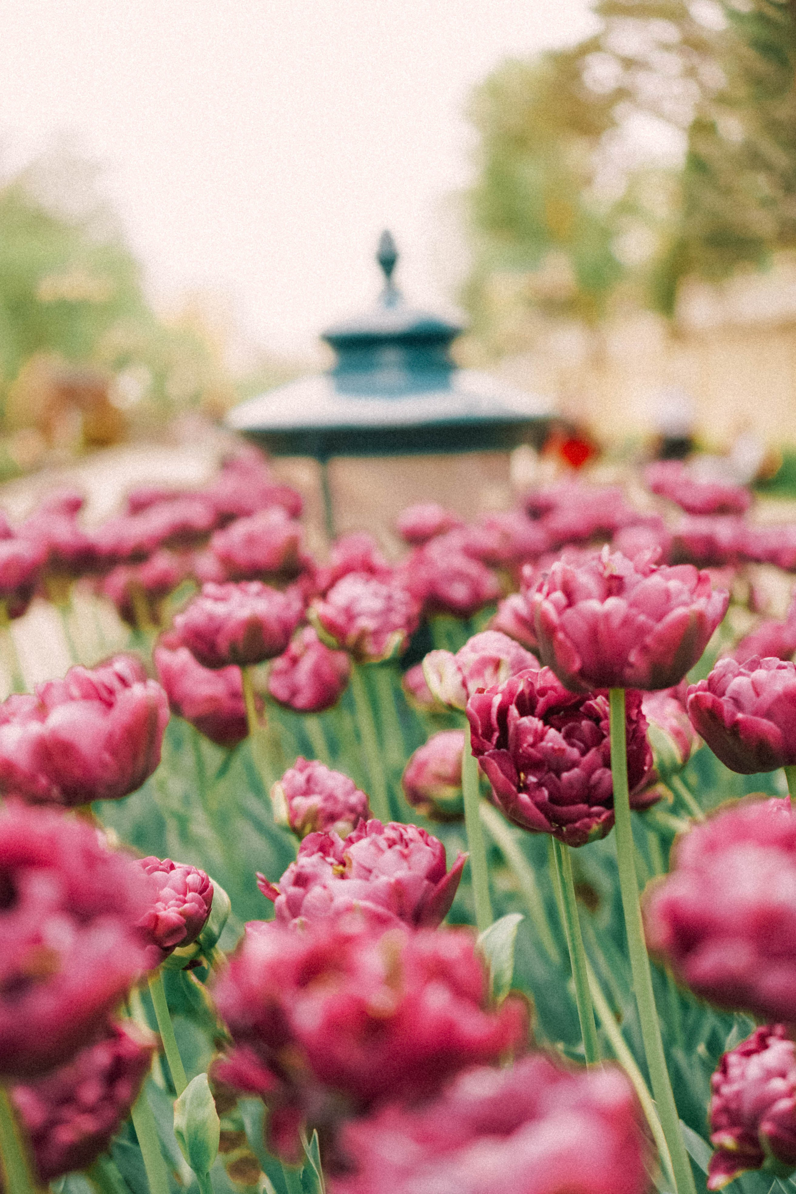 КИСЛОВОДСК. Профессиональный фотограф, Санкт-Петербург — Виктория Богомолова