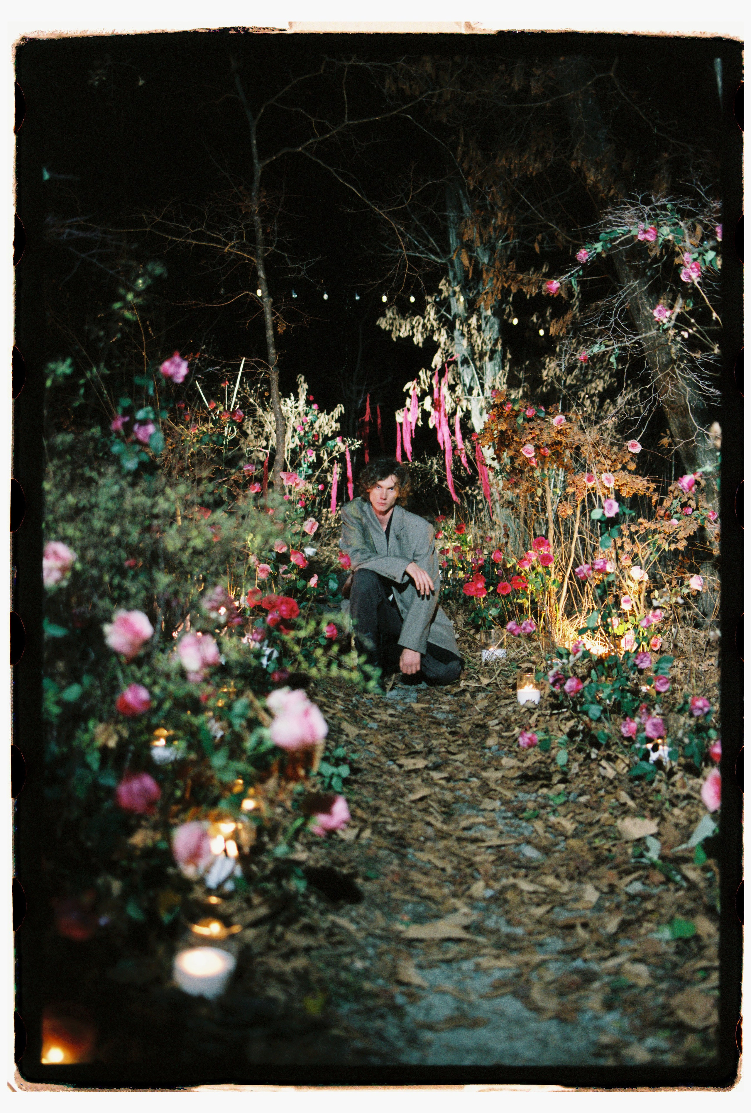 Лесной променад