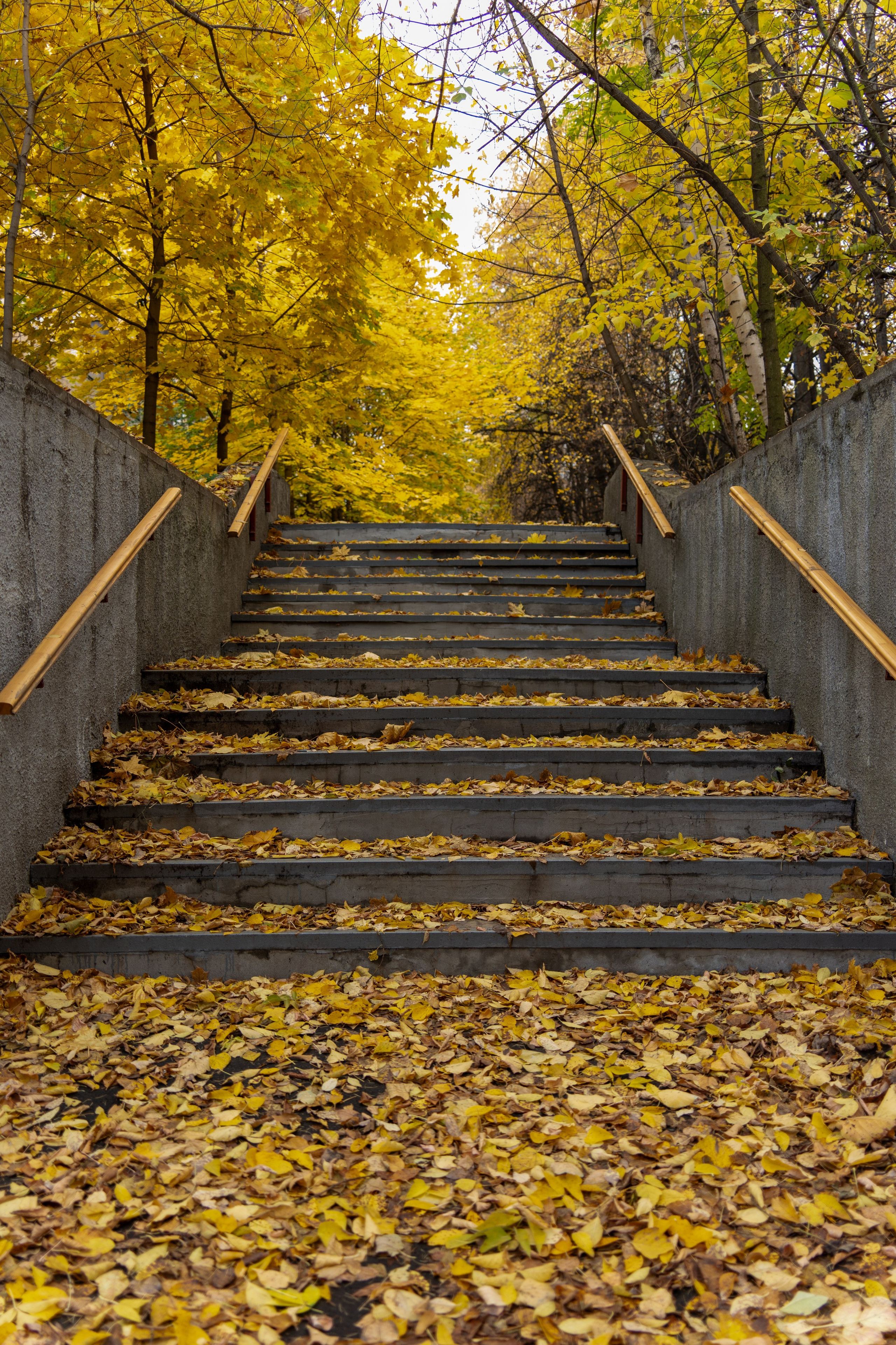 20251012 МГУ. Дмитрий Ремизов. Фотография, как хобби