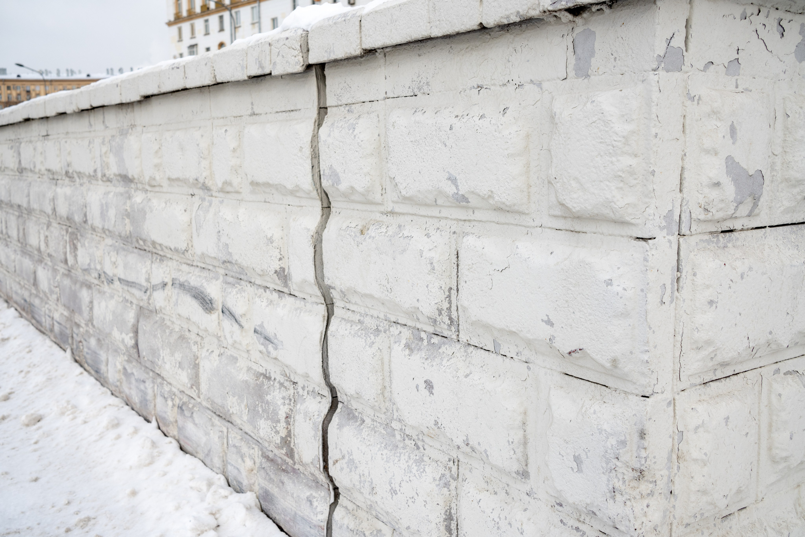 20250216 Нескучный сад. Дмитрий Ремизов. Фотография, как хобби