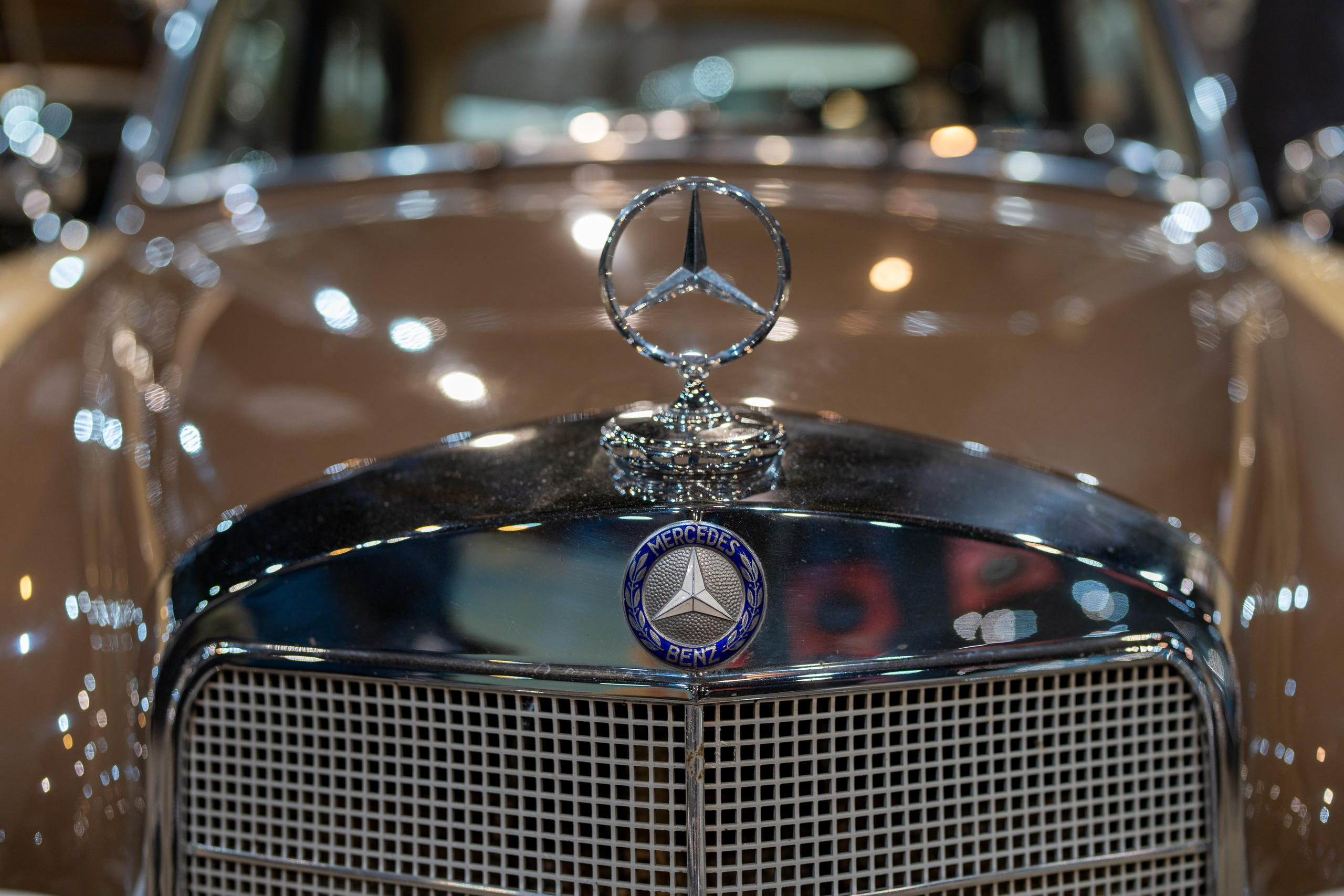 20251028 Музей Автомобили мира. Дмитрий Ремизов. Фотография, как хобби