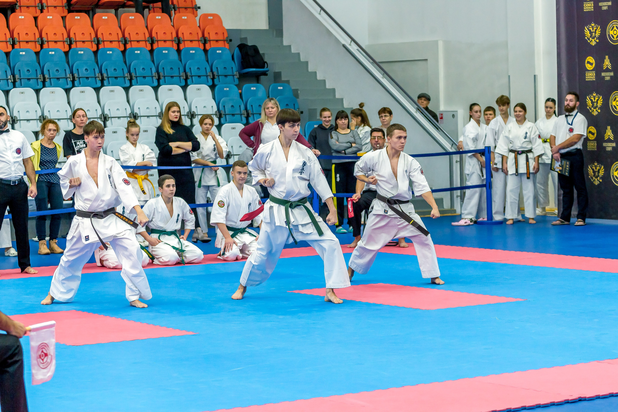 Соревнования по Киокушин памяти С. Увицкого. Репортажная съемка в Москве и области. Анималистика